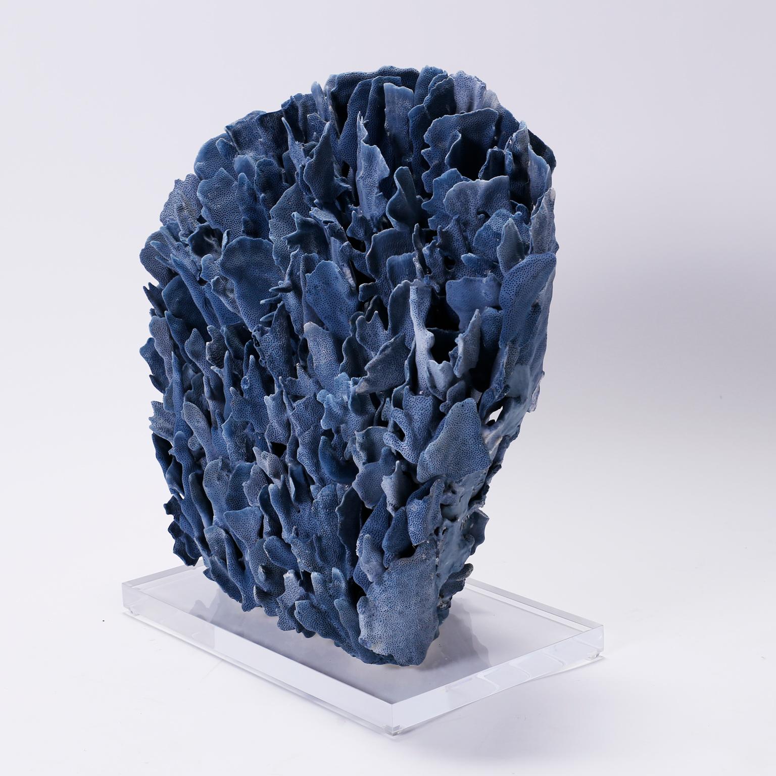 Large and impressive rare dark blue coral sculpture or assemblage designed and expertly crafted by F. S. Henemader with authentic coral and alluring color and sea inspired texture. Presented on a lucite base to enhance its sculptural elements. Coral