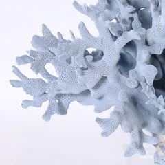 Large Blue Coral Sculpture on Lucite