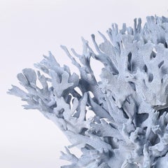 Large Blue Coral Sculpture on Lucite