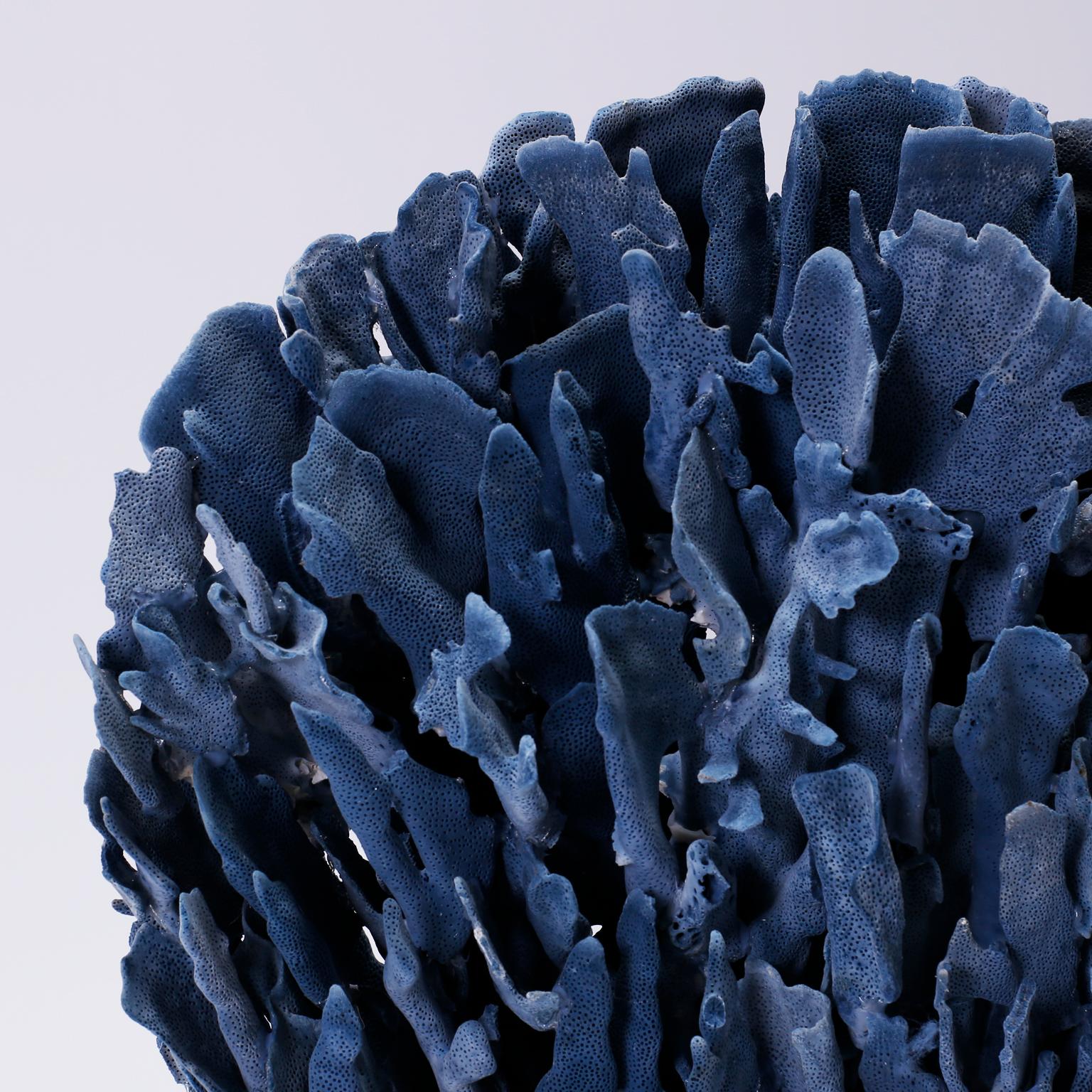 Große blaue Korallen-Skulptur auf Lucite (Organische Moderne)