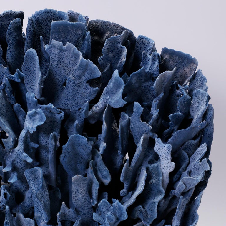 Large Blue Coral Sculpture on Lucite at 1stDibs