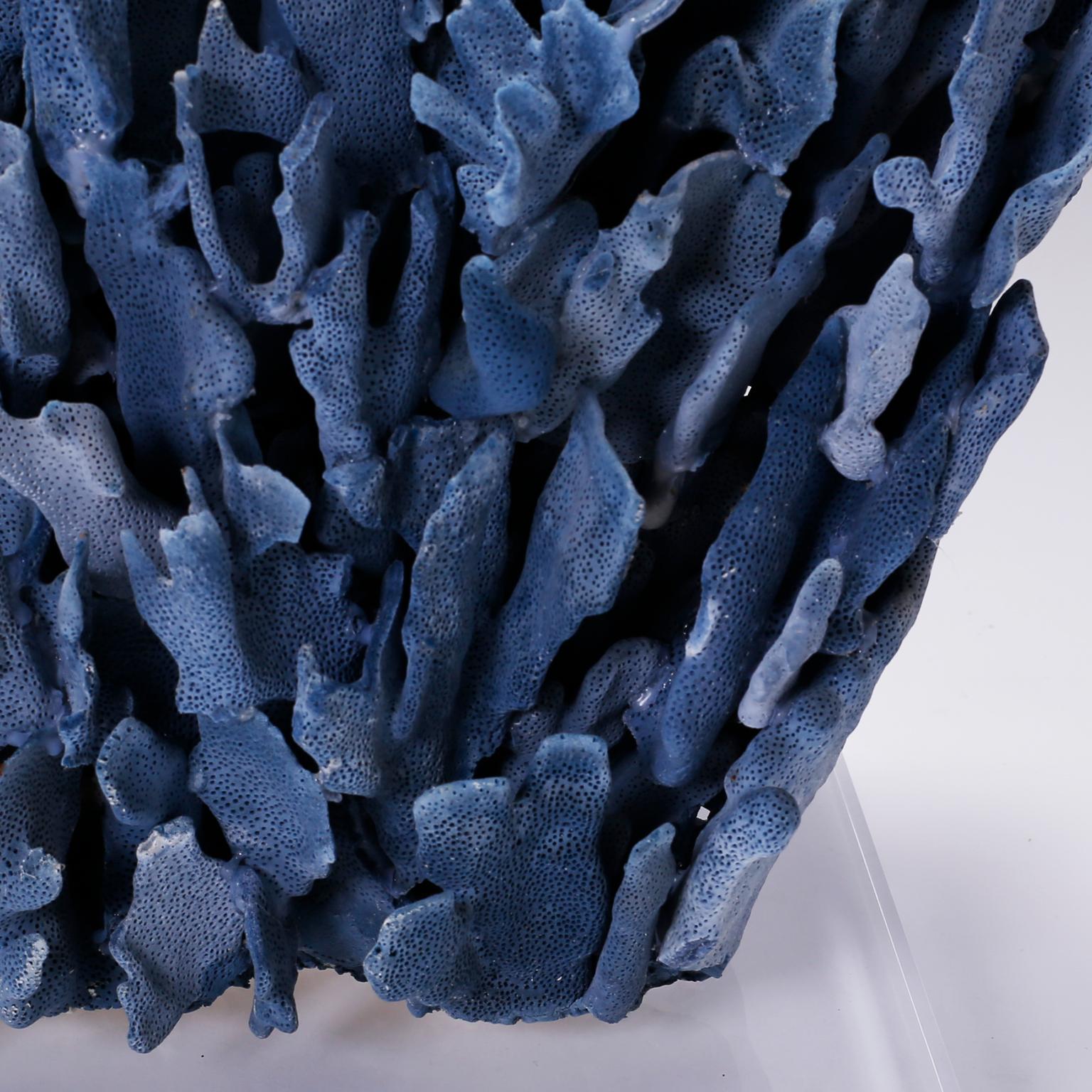 Große blaue Korallen-Skulptur auf Lucite im Zustand „Gut“ in Palm Beach, FL
