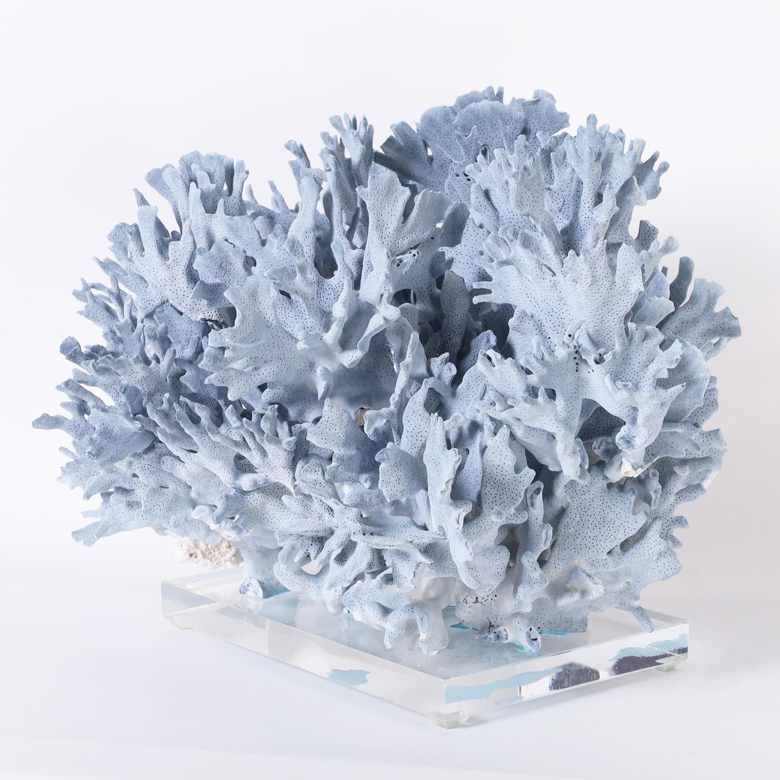 Hand-Crafted Large Blue Coral Sculpture on Lucite