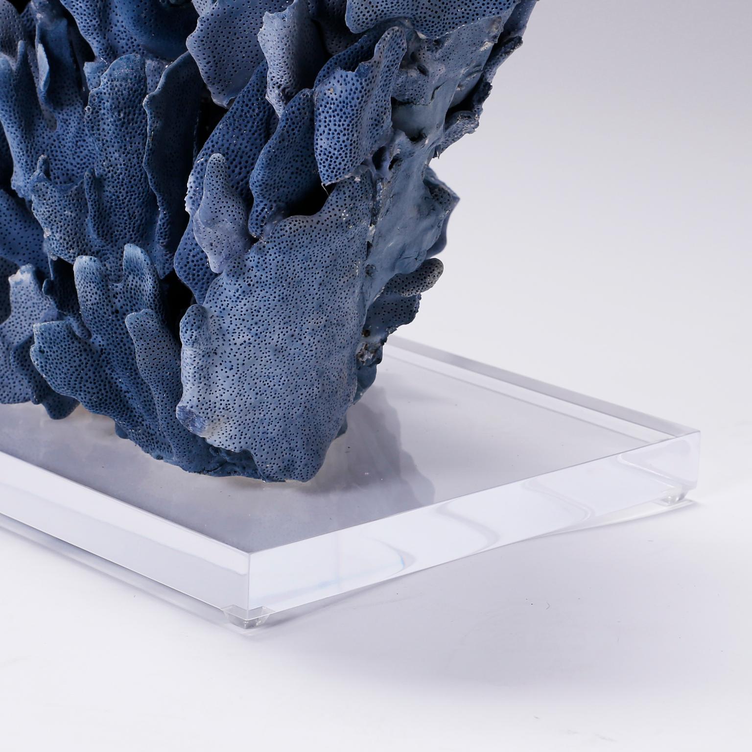 Organic Modern Large Blue Coral Sculpture on Lucite