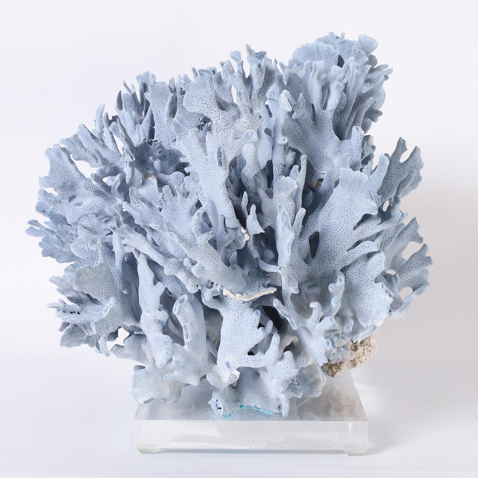 Large Blue Coral Sculpture on Lucite In New Condition In Palm Beach, FL