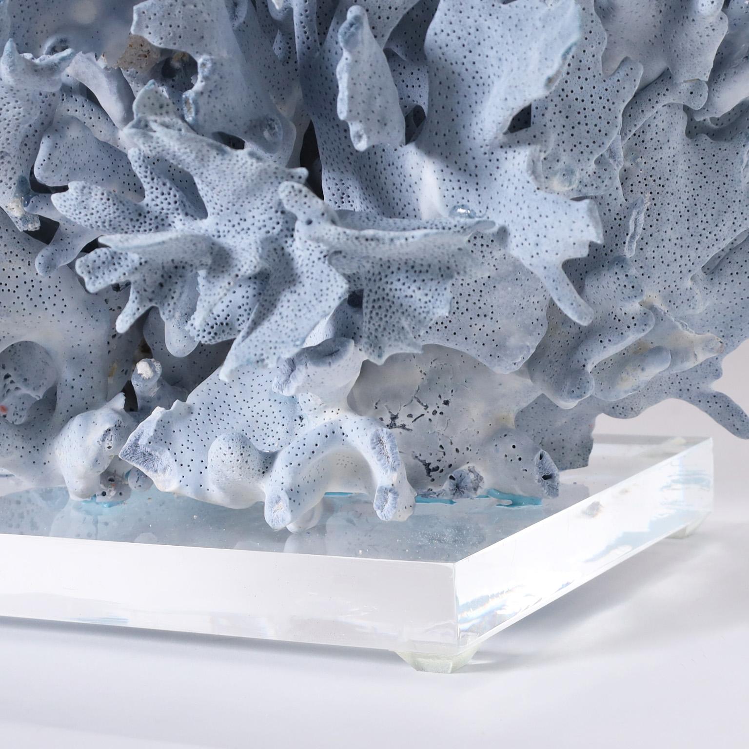 Contemporary Large Blue Coral Sculpture on Lucite