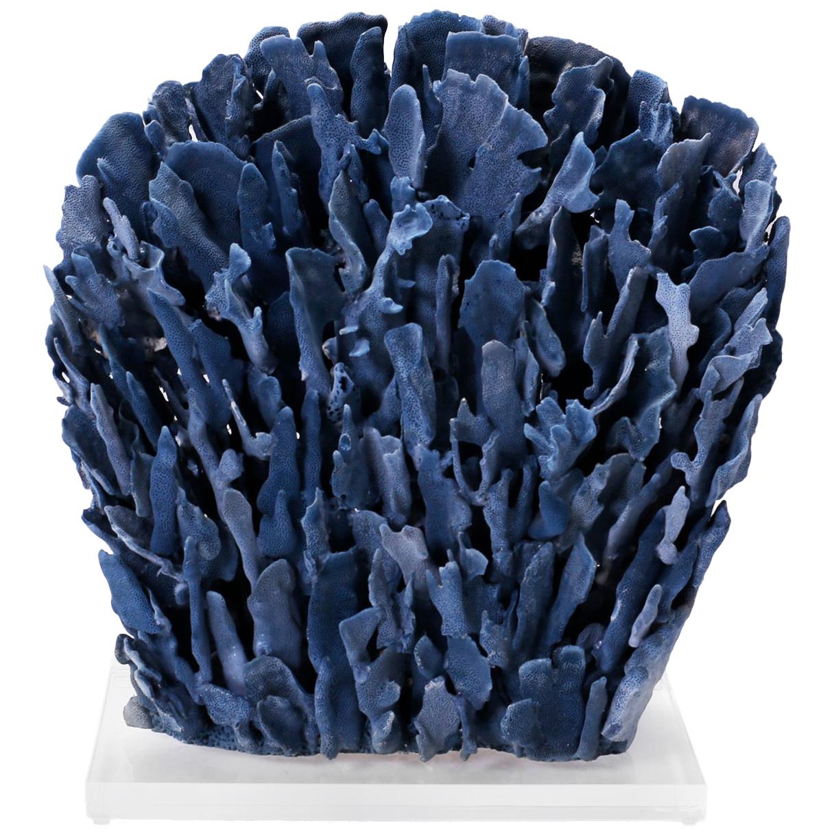 Large Blue Coral Sculpture on Lucite
