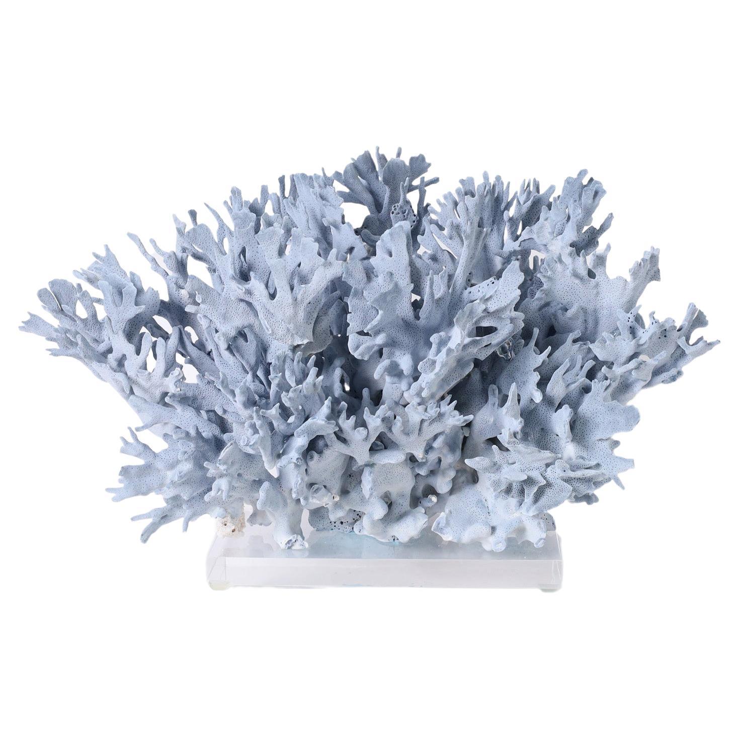 Large Blue Coral Sculpture on Lucite