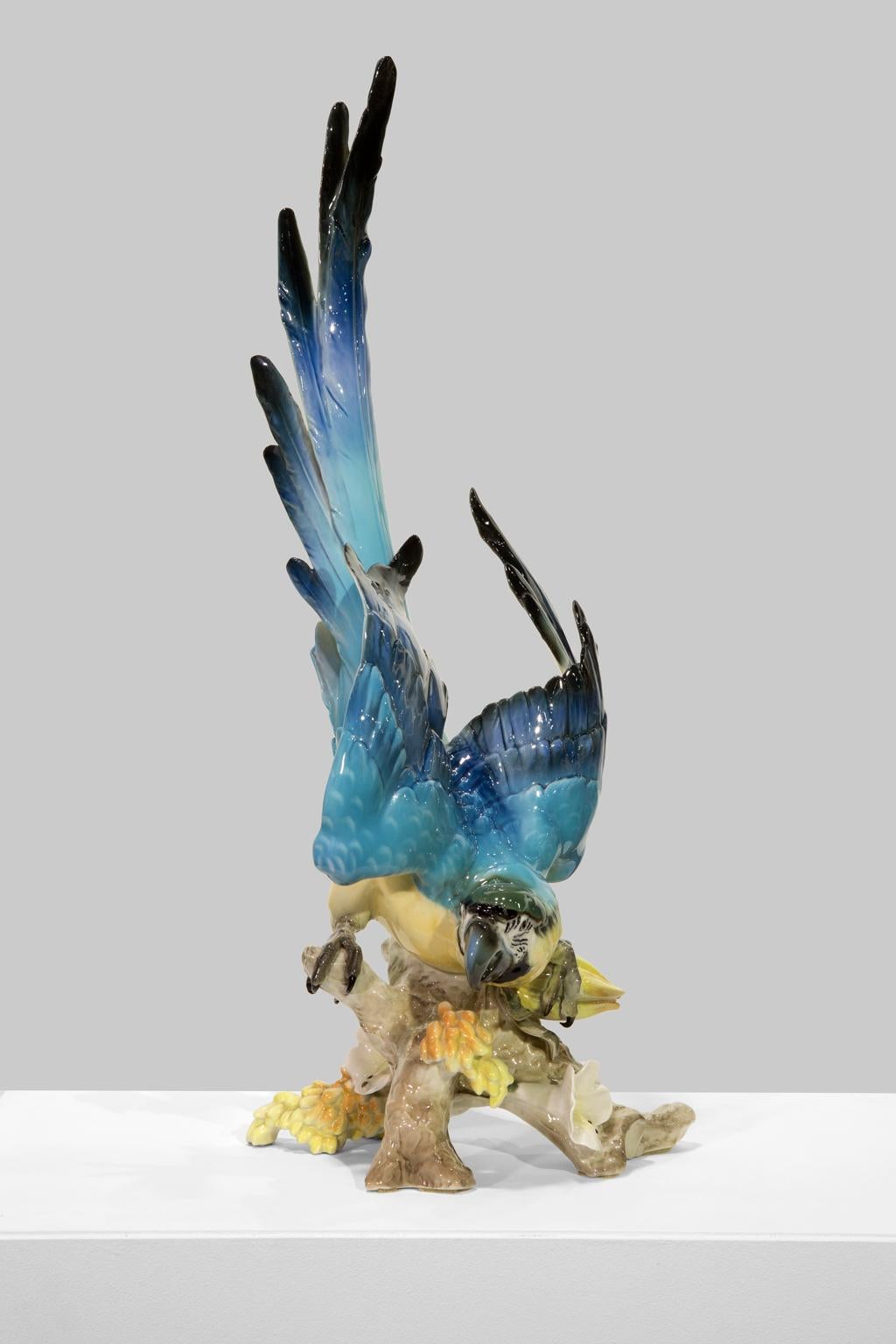 This gorgeous and large porcelain sculpture from Hutschenreuther porcelain is of a majestic blue-and-gold macaw, a neotropical parrot prized for its intelligence and striking colors, perched on a flowering branch, blue wings and tail outstretched.
