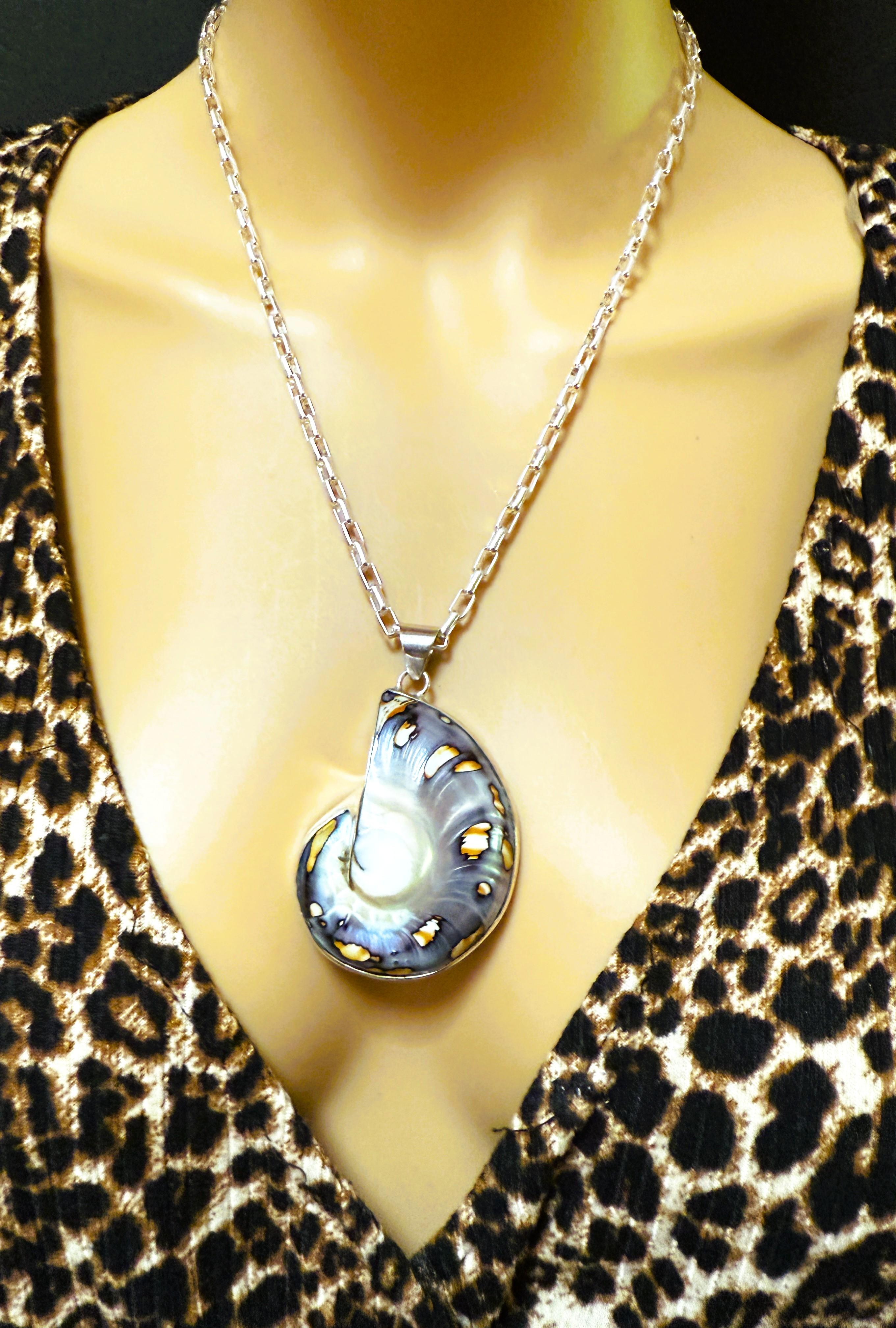 Gran concha nautilus de brillo azul y cadena sujetapapeles de plata de ley 38,92 gramos en venta 4