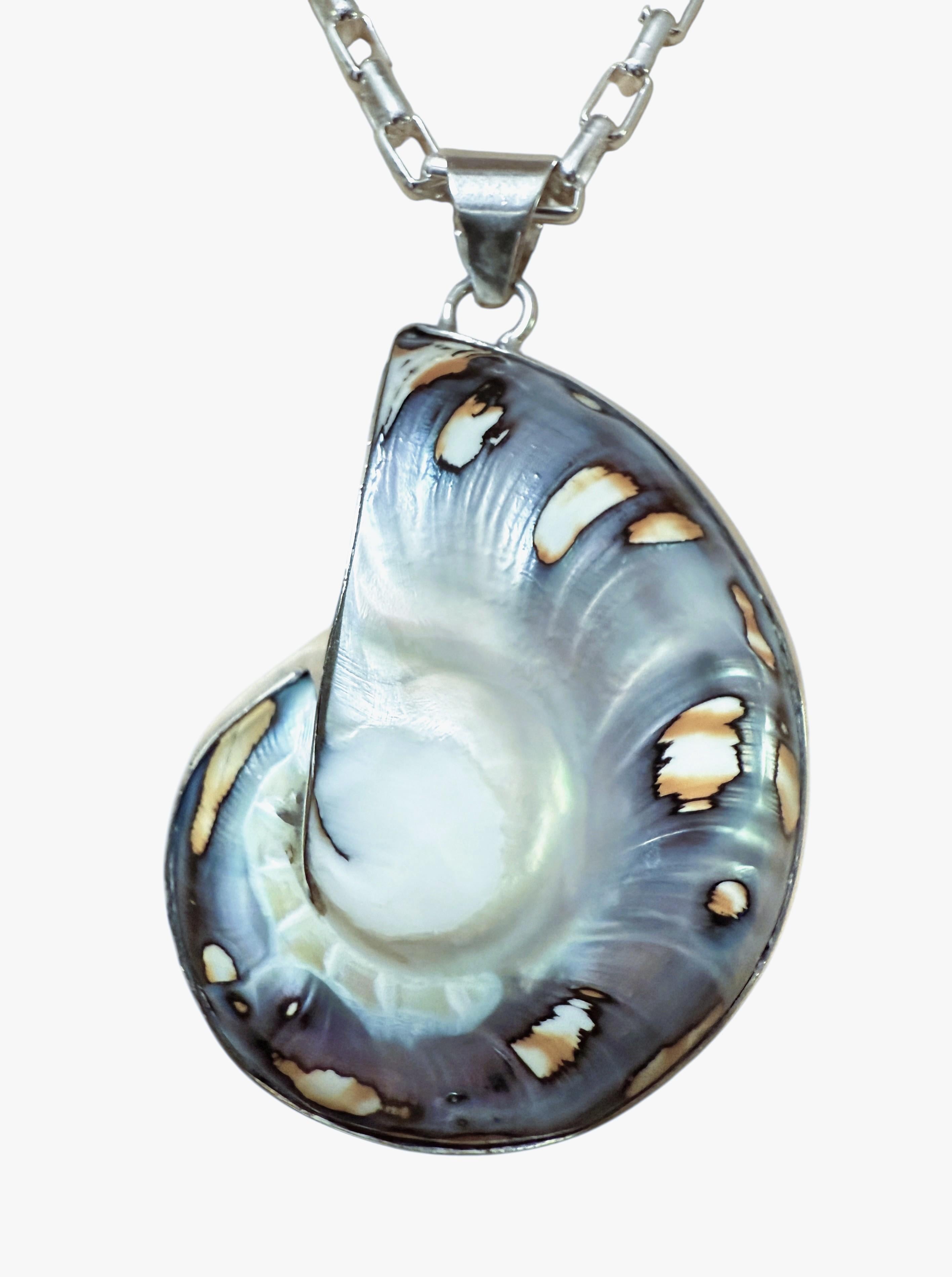 Gran concha nautilus de brillo azul y cadena sujetapapeles de plata de ley 38,92 gramos en venta 5