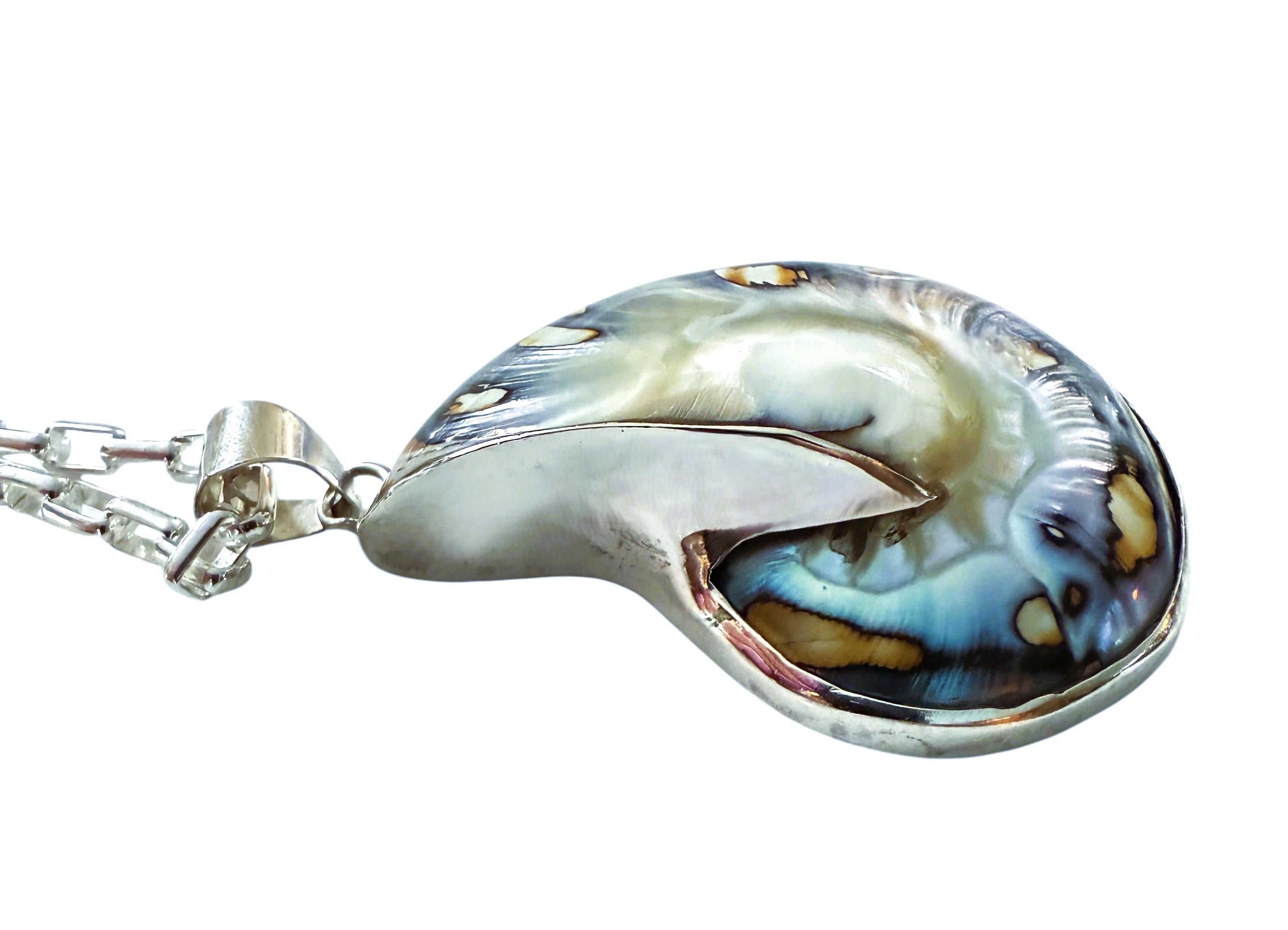 De las mujeres Gran concha nautilus de brillo azul y cadena sujetapapeles de plata de ley 38,92 gramos en venta