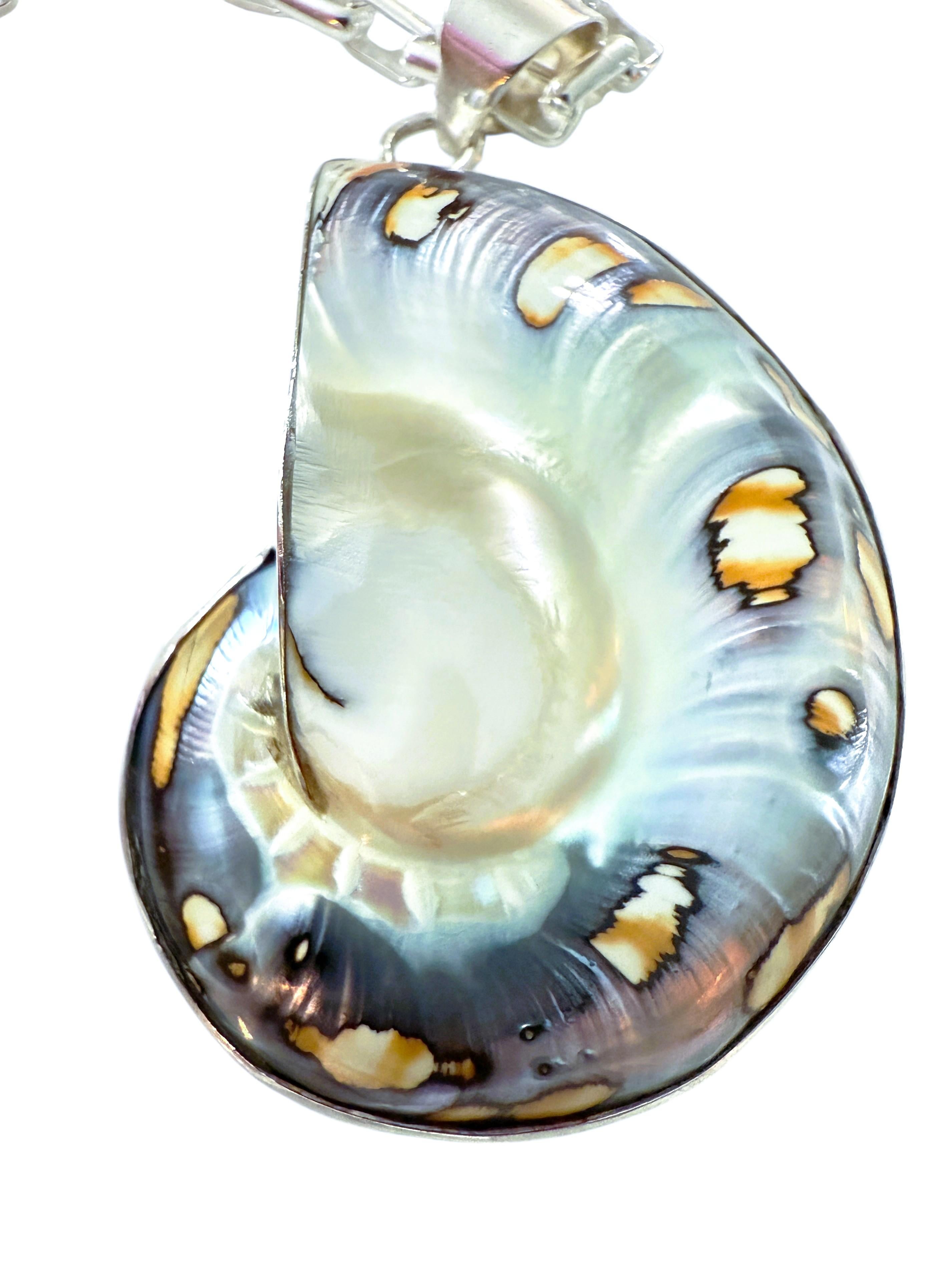 Gran concha nautilus de brillo azul y cadena sujetapapeles de plata de ley 38,92 gramos en venta 1