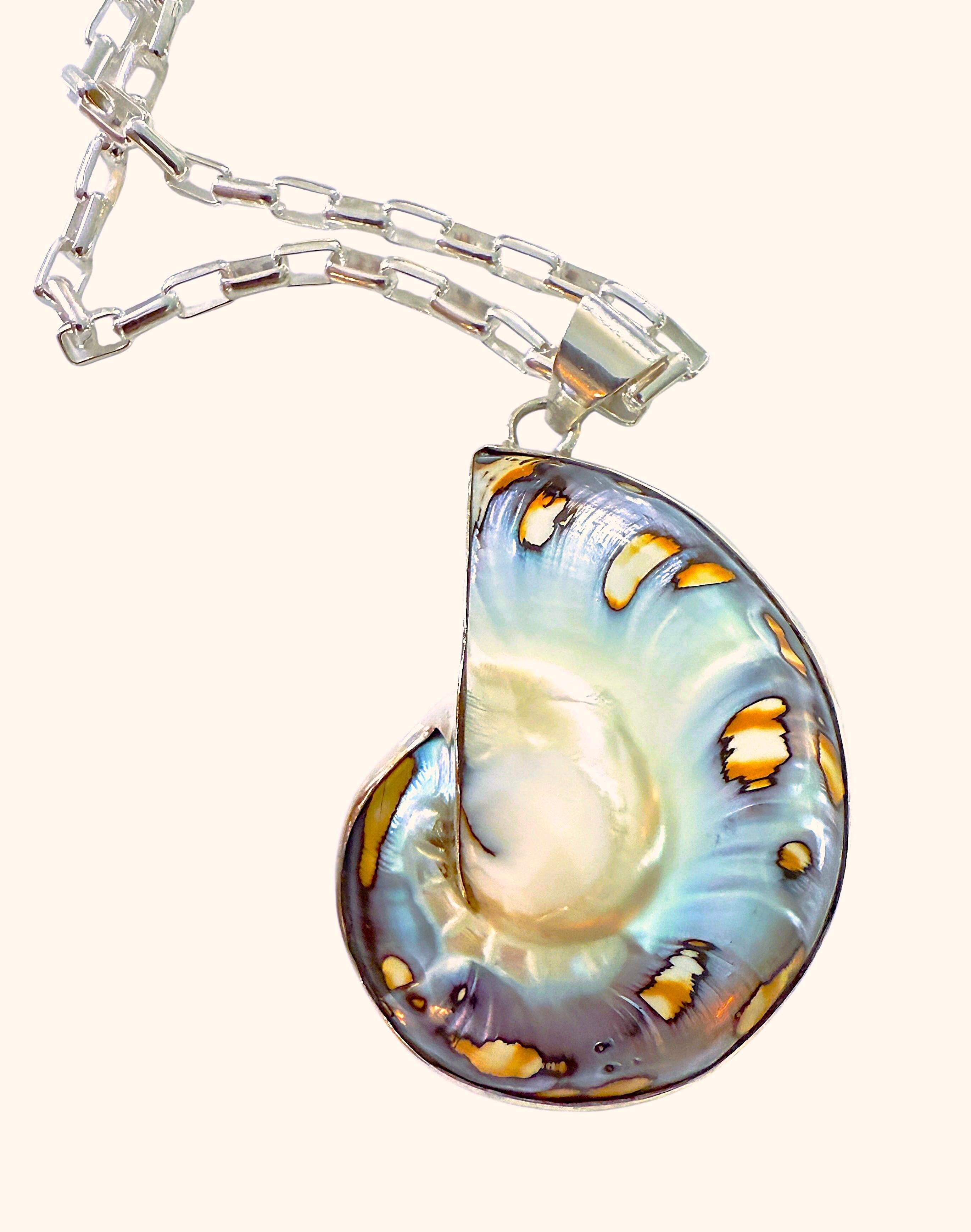 Gran concha nautilus de brillo azul y cadena sujetapapeles de plata de ley 38,92 gramos en venta 2