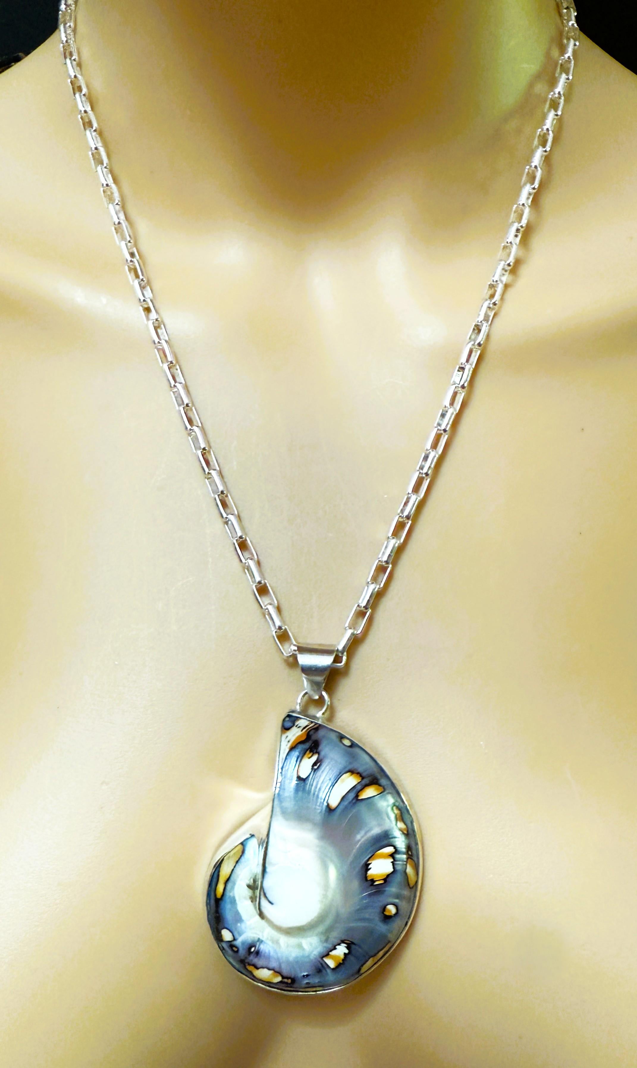 Gran concha nautilus de brillo azul y cadena sujetapapeles de plata de ley 38,92 gramos en venta 3