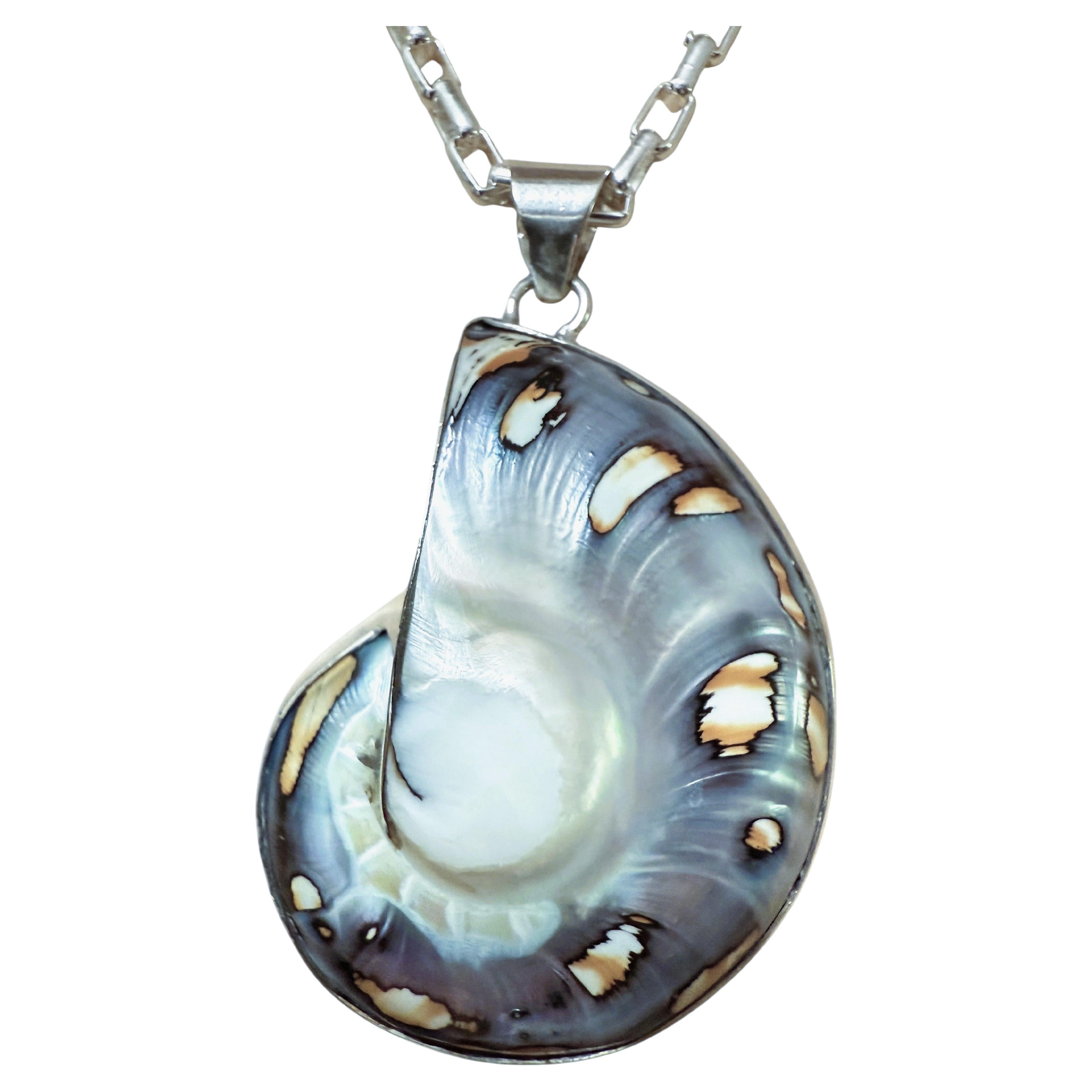 Gran concha nautilus de brillo azul y cadena sujetapapeles de plata de ley 38,92 gramos en venta
