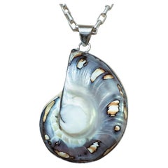 Gran concha nautilus de brillo azul y cadena sujetapapeles de plata de ley 38,92 gramos
