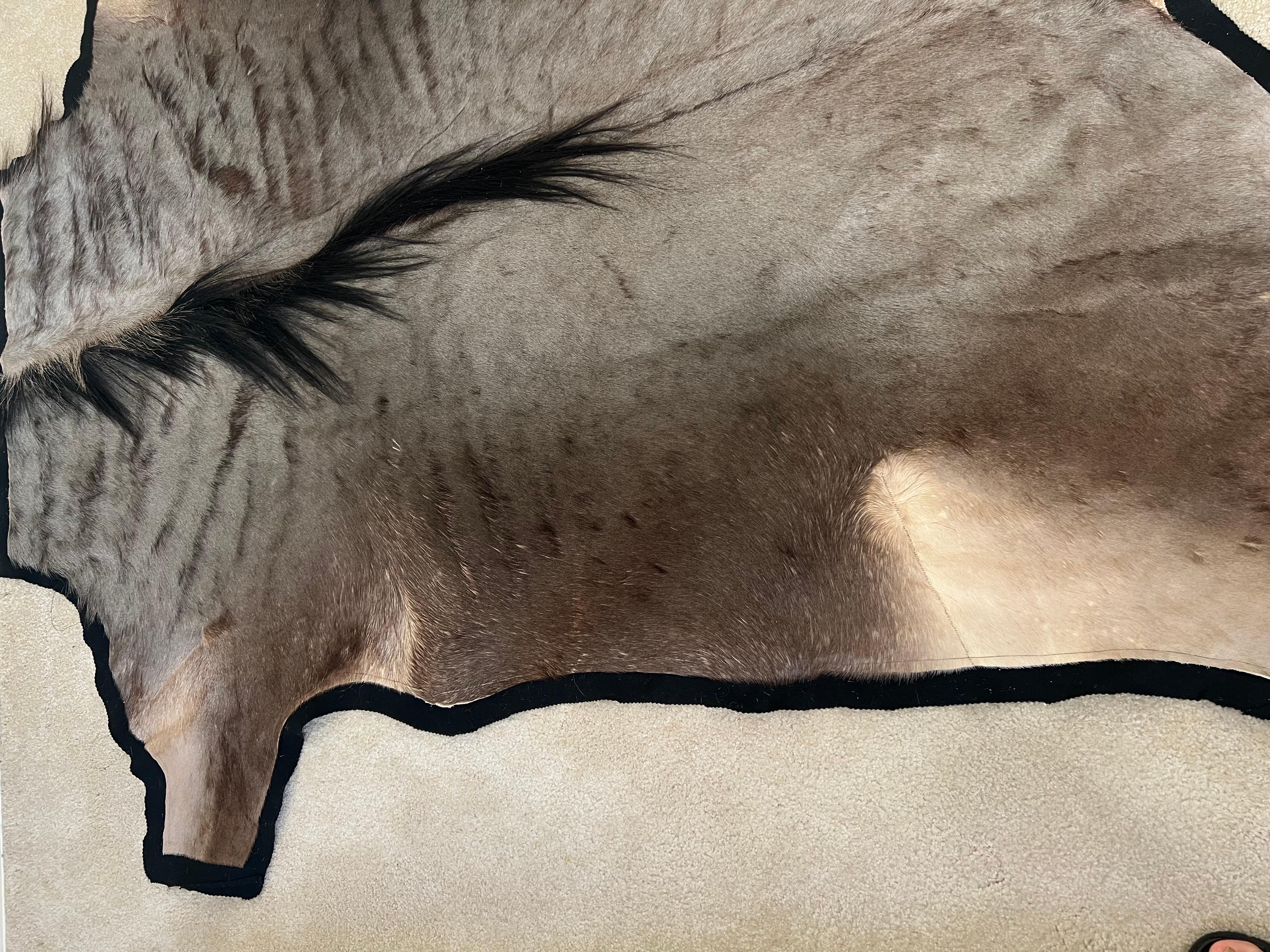 20th Century Large Blue Wildebeest Antelope Carpet / Rug from Kenya, British Colonial Era For Sale