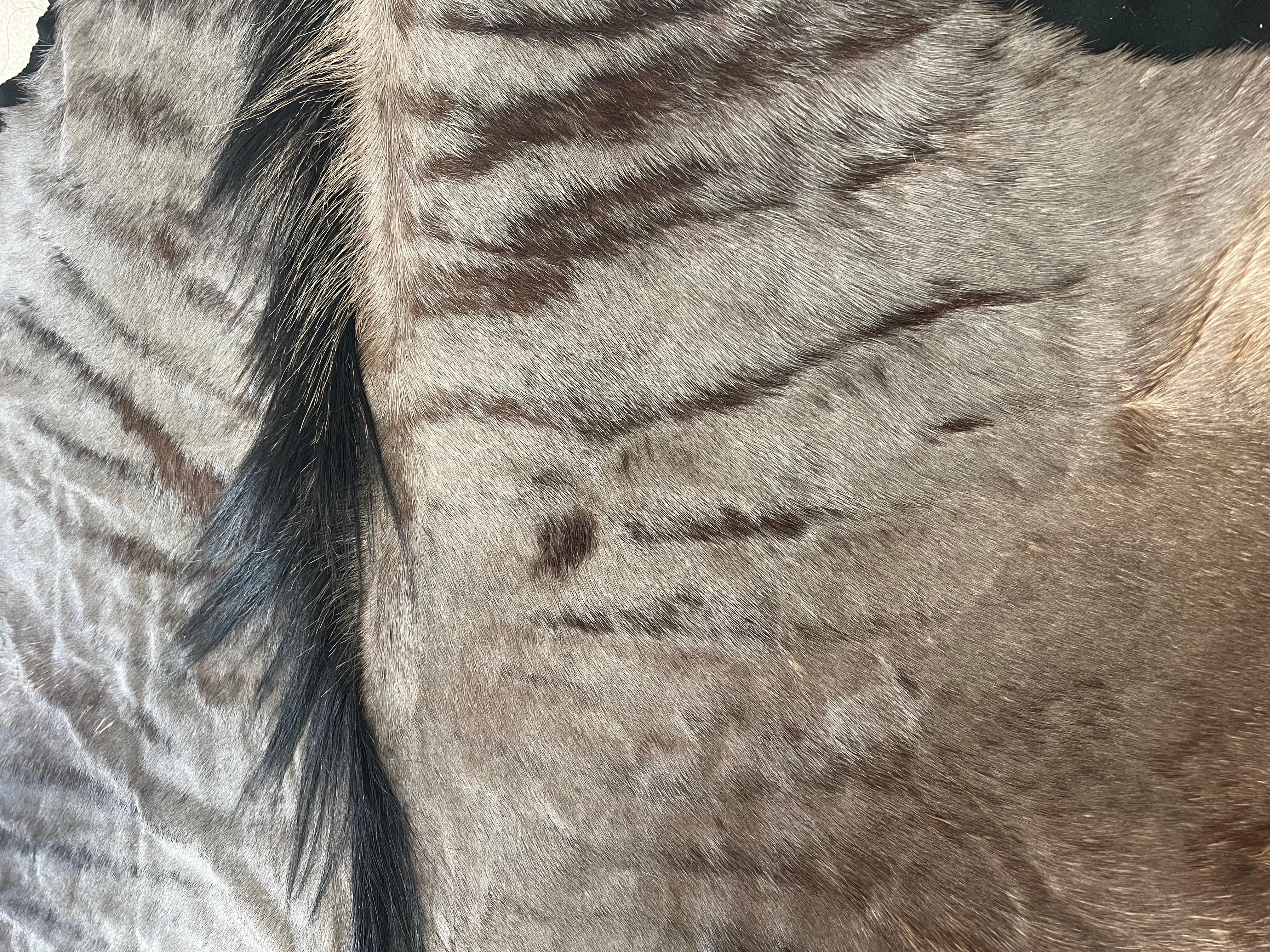 Animal Skin Large Blue Wildebeest Antelope Carpet / Rug from Kenya, British Colonial Era For Sale