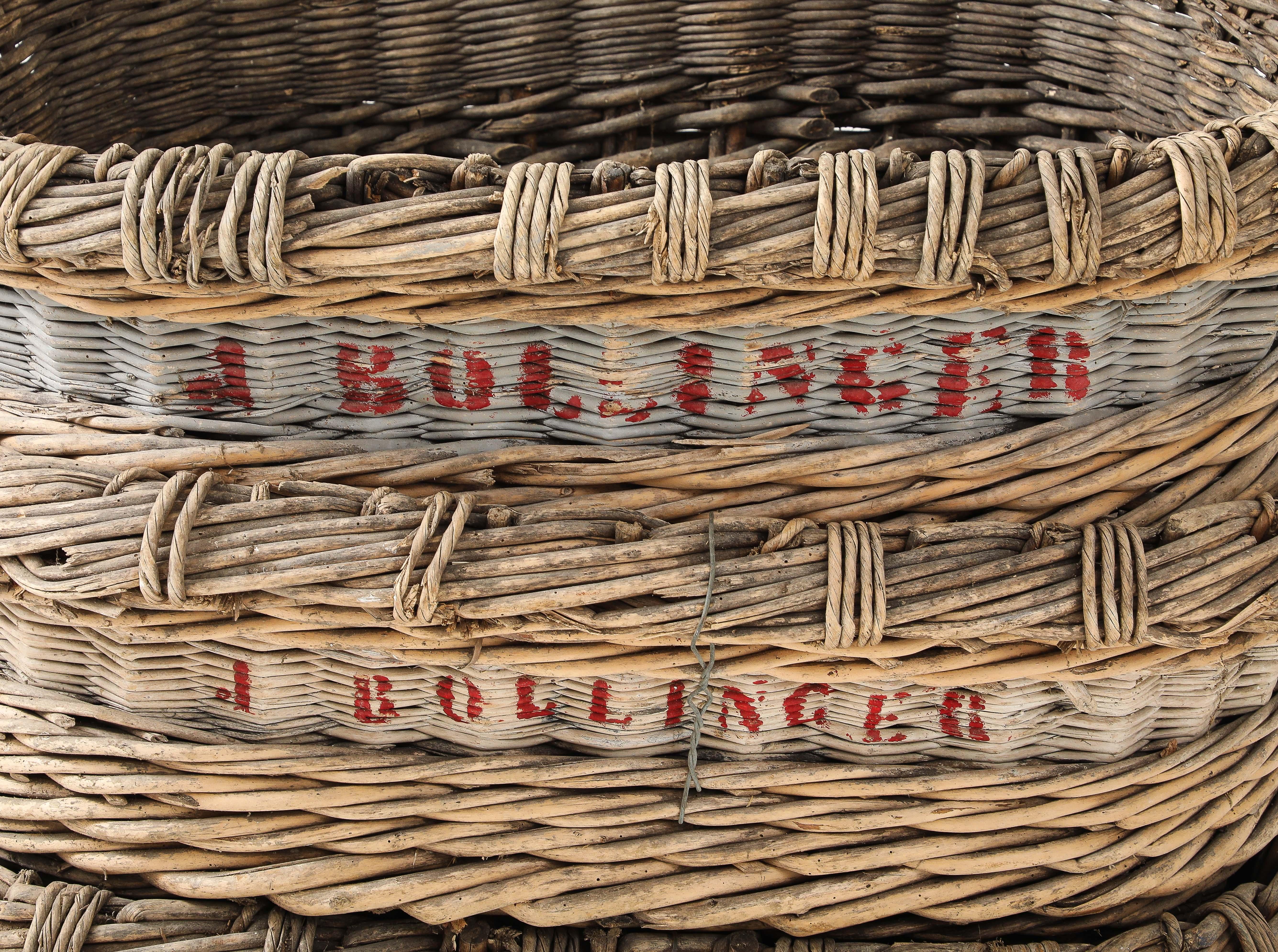 Grande corbeille à vendange de champagne Bollinger, Reims, France, c.C. 1920-30 en vente 5