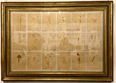 Large Botanical in Antique Frame Under Glass Prov. Parc Monceau