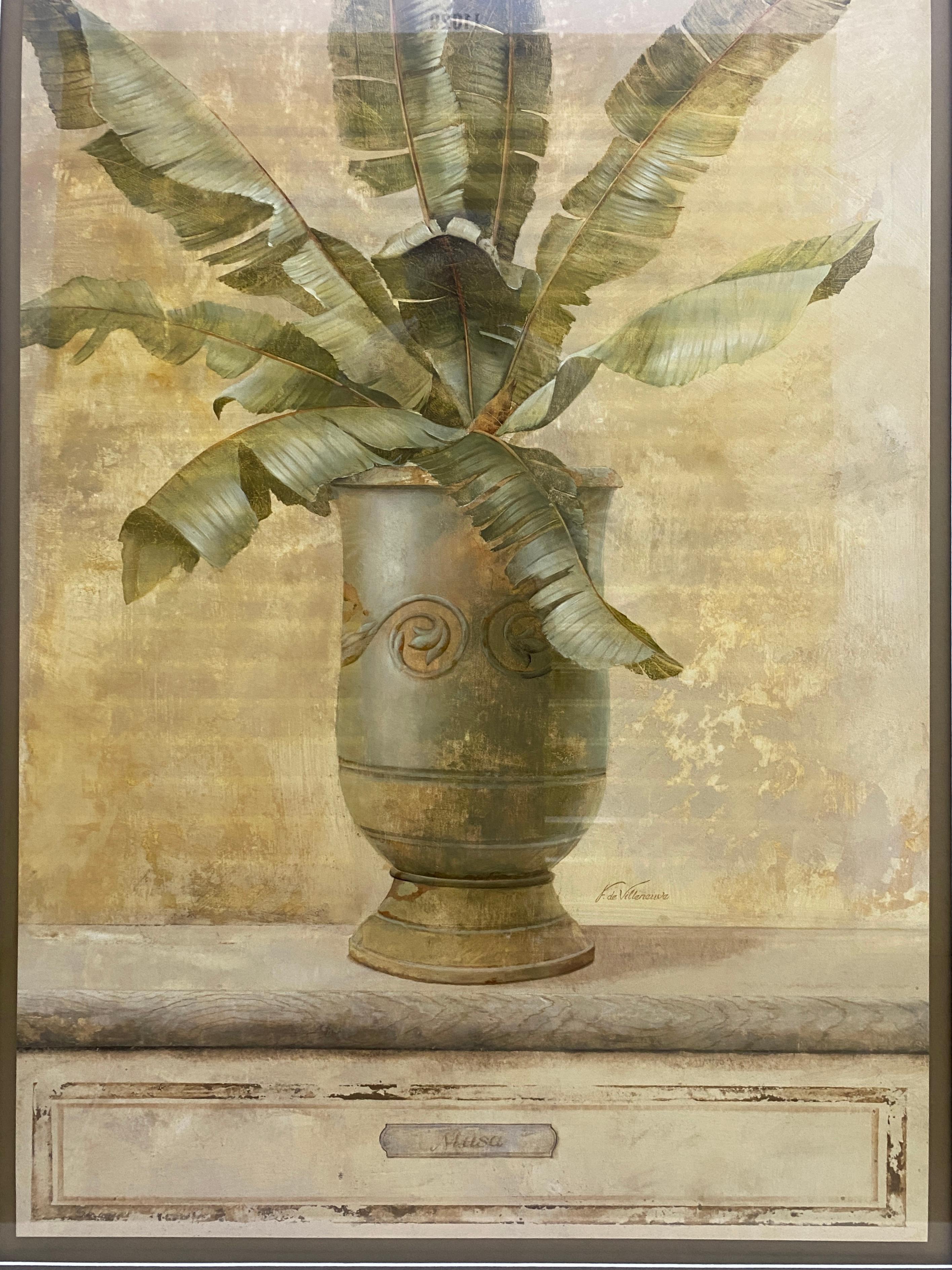 Großer botanischer Musa-Kunstdruck im Zustand „Gut“ im Angebot in Miami, FL