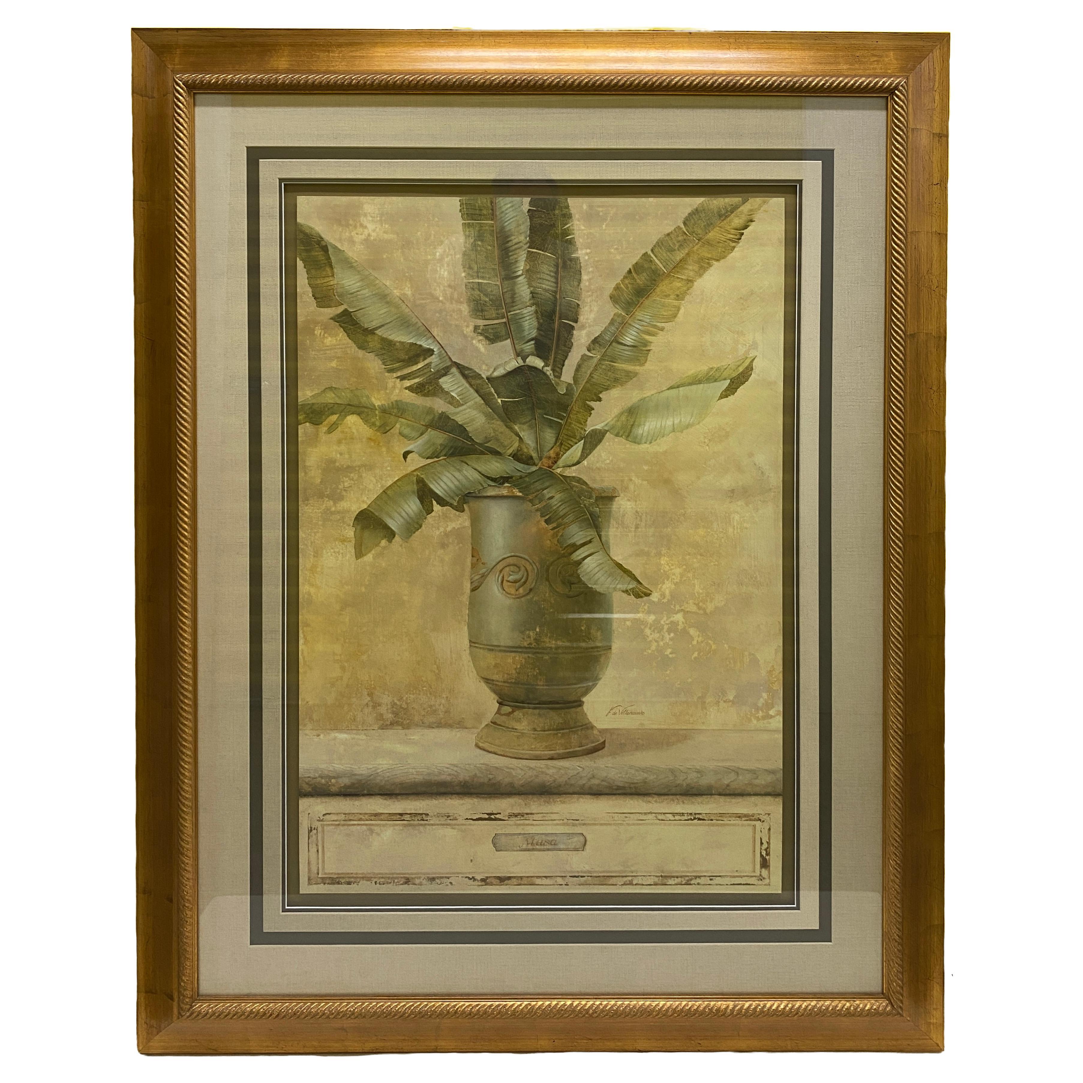 Large Botanical Musa Art Print  For Sale