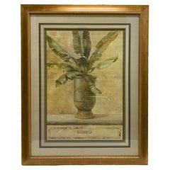 Vintage Large Botanical Musa Art Print 