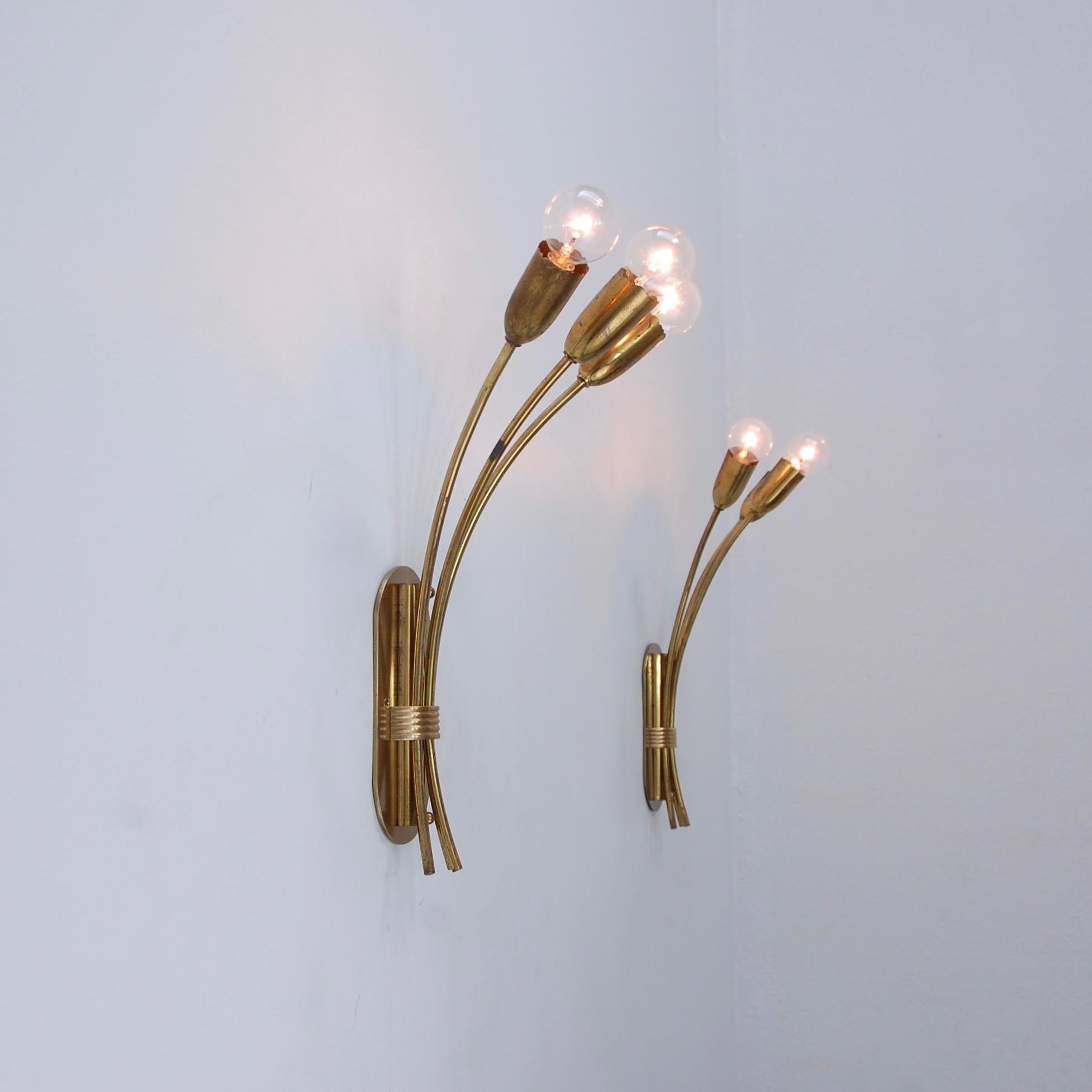 Large Botanical Sconces 12