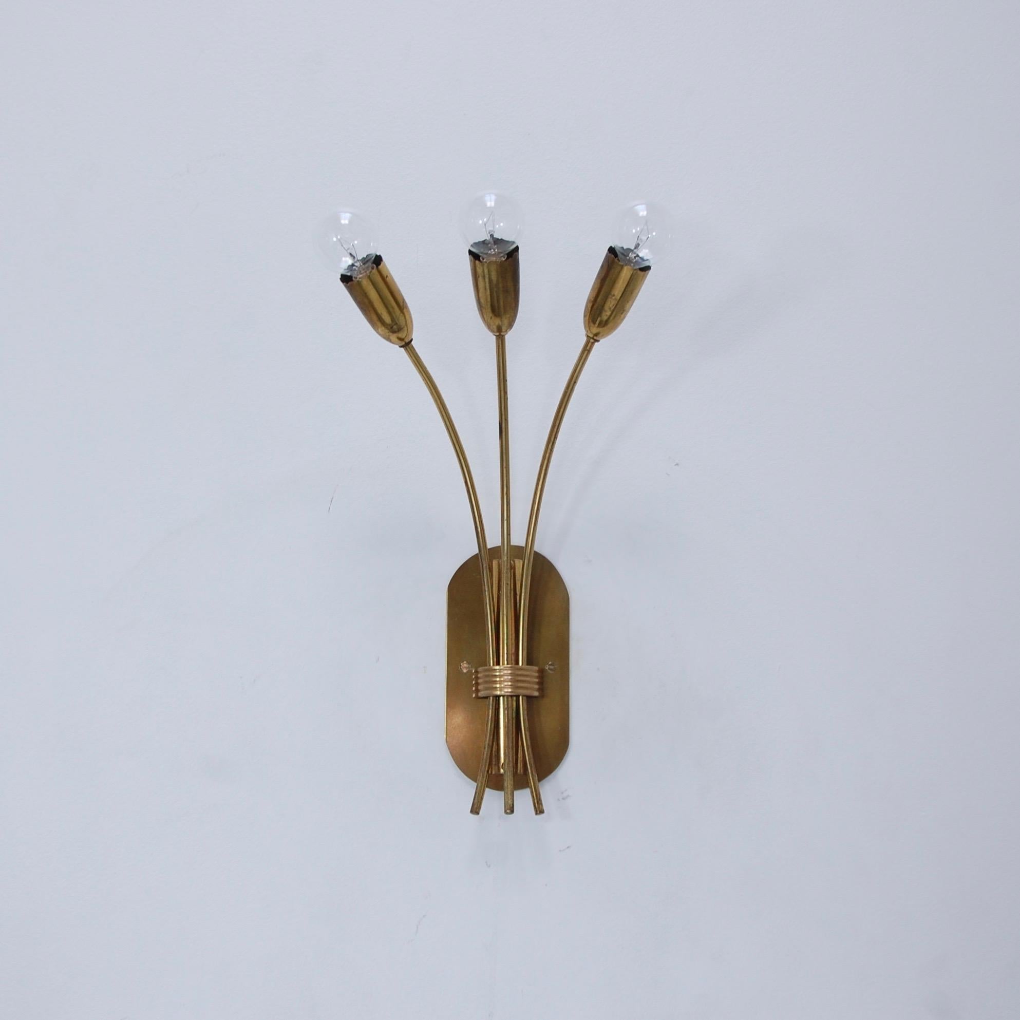 Pair of splendid large Mid-Century Modern botanical sconces from Italy. Partially restored, naturally aged patina brass. (3) E12 candelabra based sockets per sconce. Back plate has 2 ¾” center to center mounting holes. Currently wired for use in the