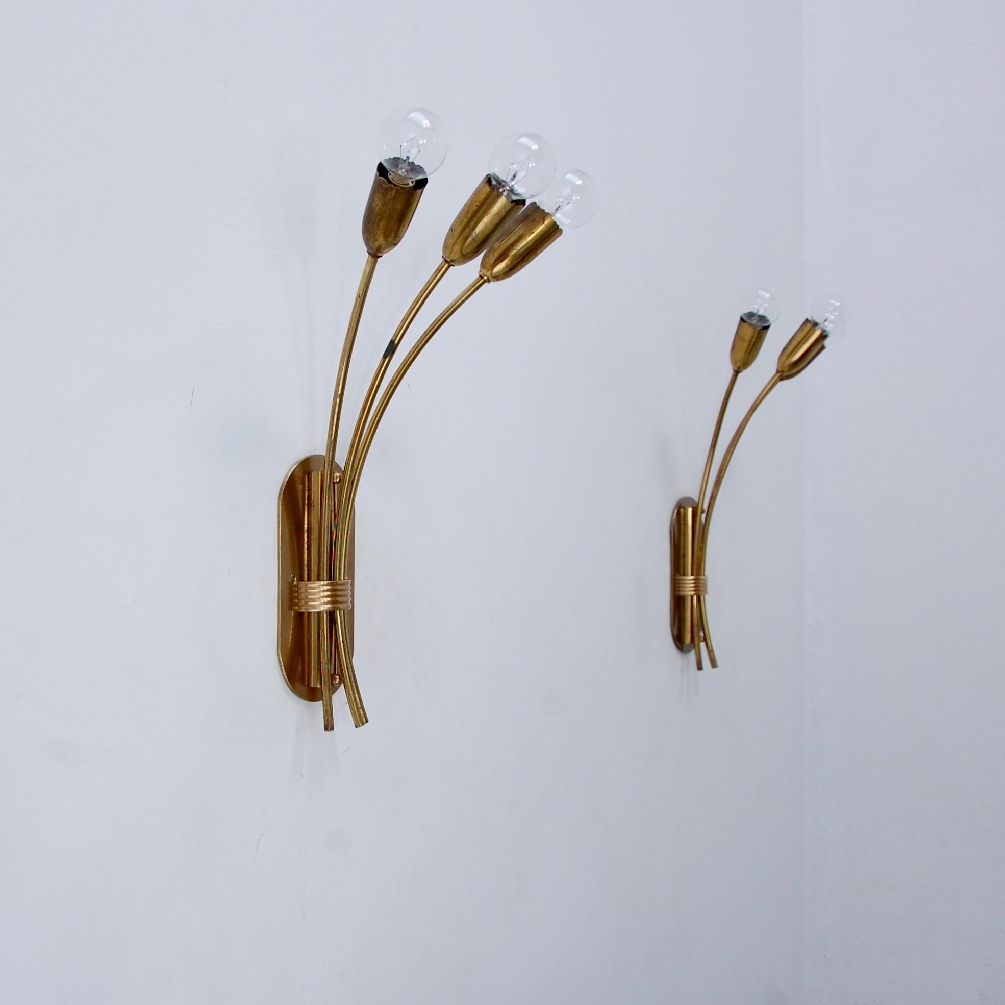 Brass Large Botanical Sconces