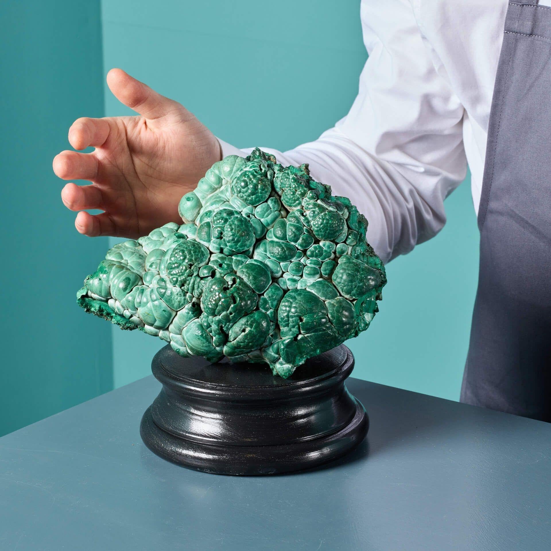 A large botryoidal green malachite specimen from Kolwezi, Congo, presented on an exclusive museum-quality painted plaster display plinth.

Named for its distinctive form resembling a cauliflower texture, this vibrant green, copper-based mineral has