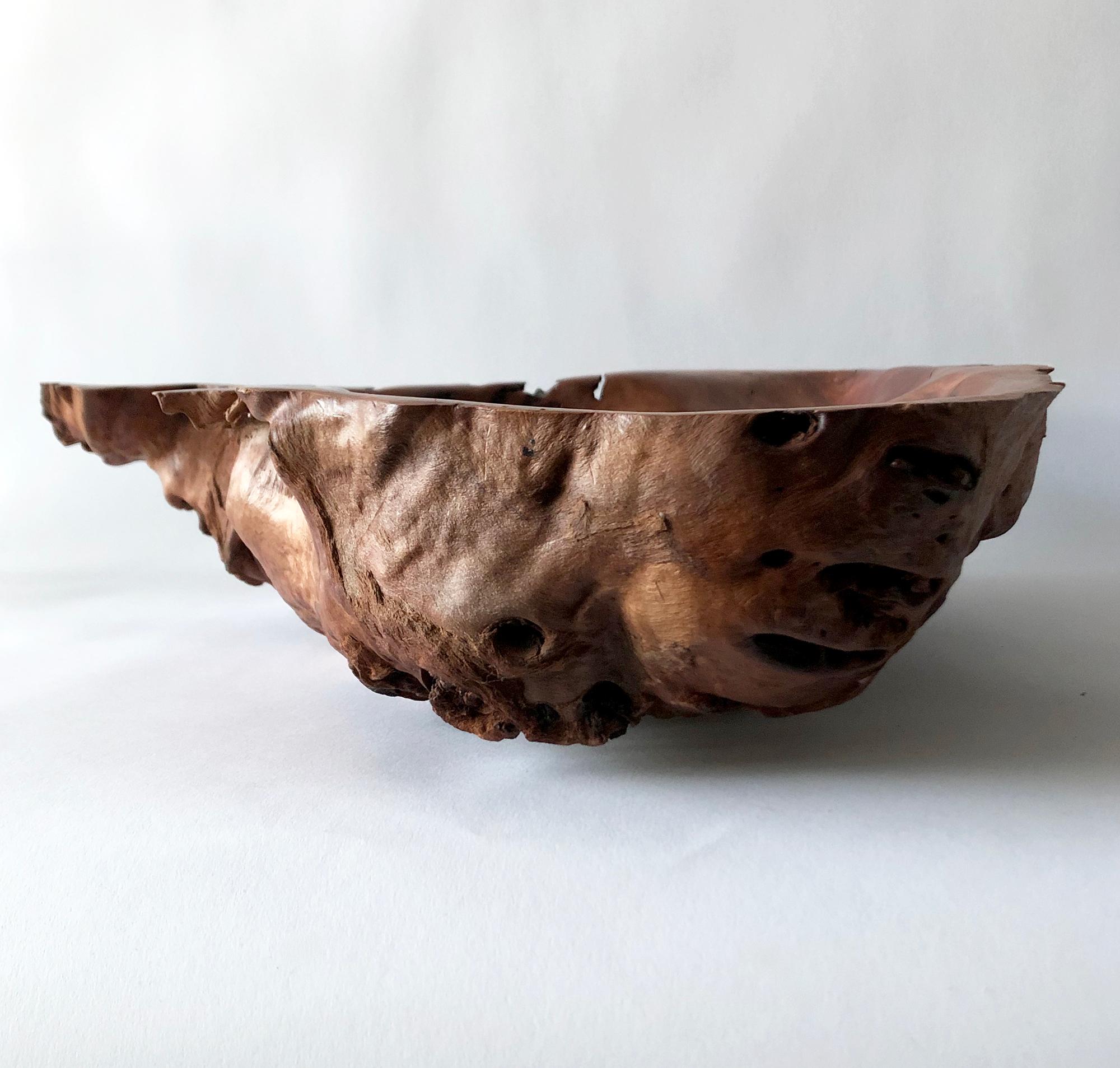 Mid-Century Modern Large Brad Purcell Red Gum Burl Wood Freeform Bowl