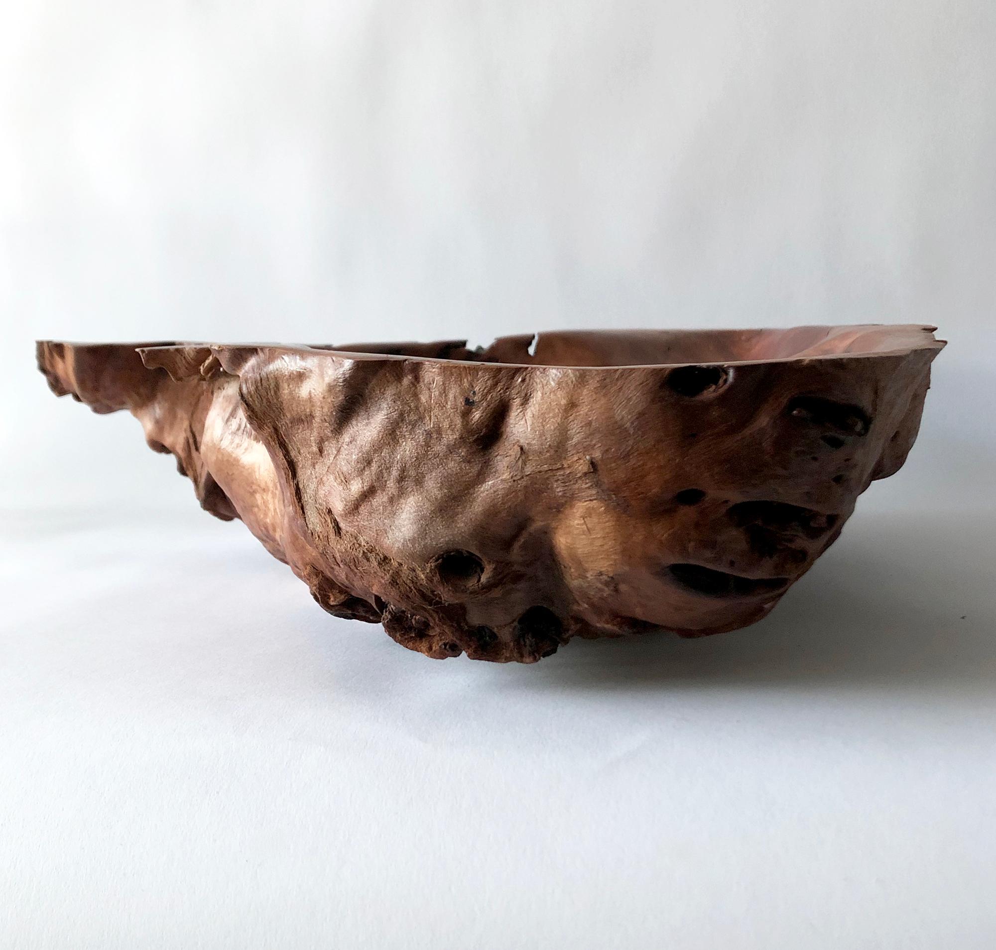 American Large Brad Purcell Red Gum Burl Wood Freeform Bowl