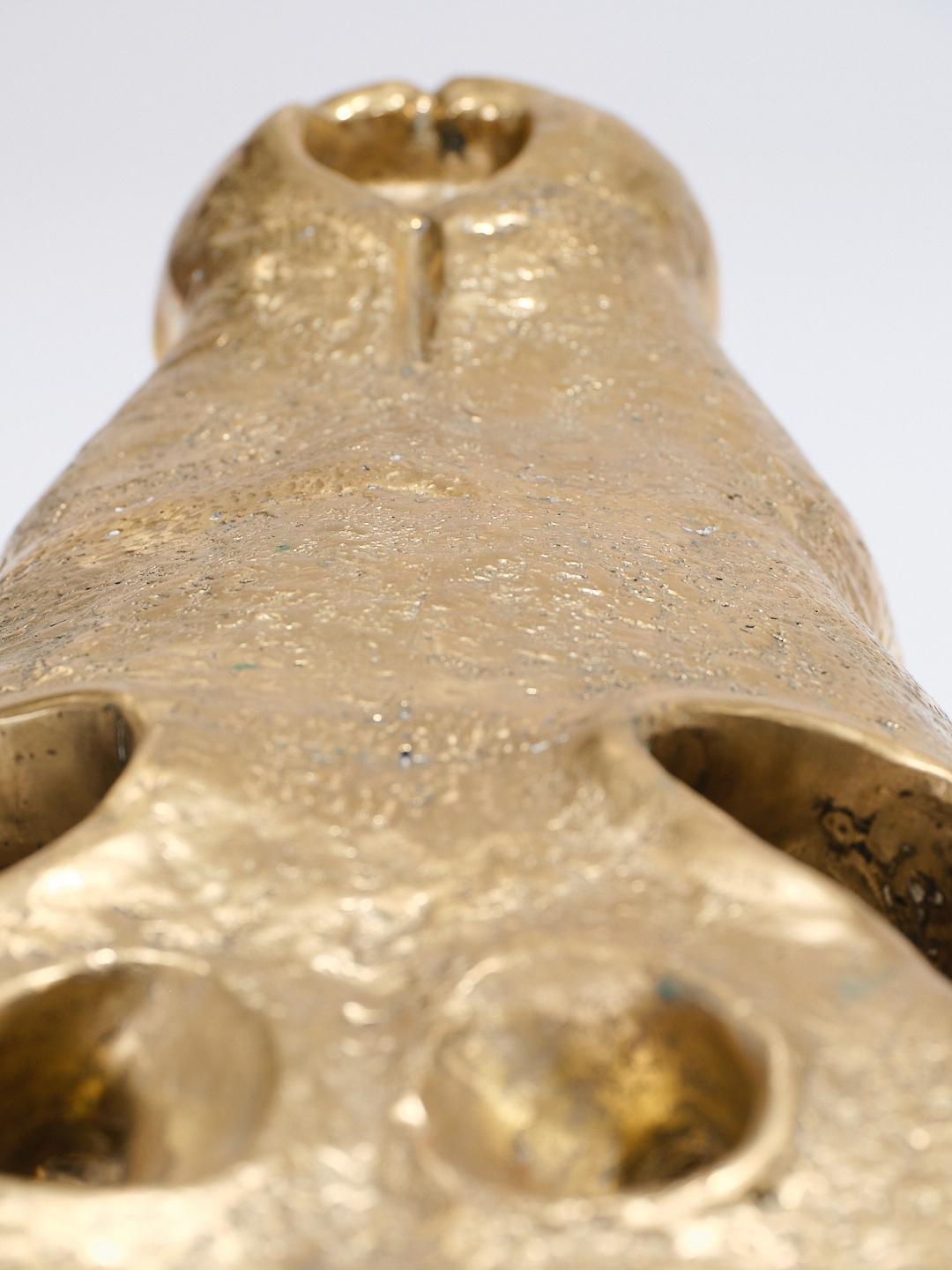 Grande scultura in ottone con teschio di coccodrillo, anni '80 in vendita 7
