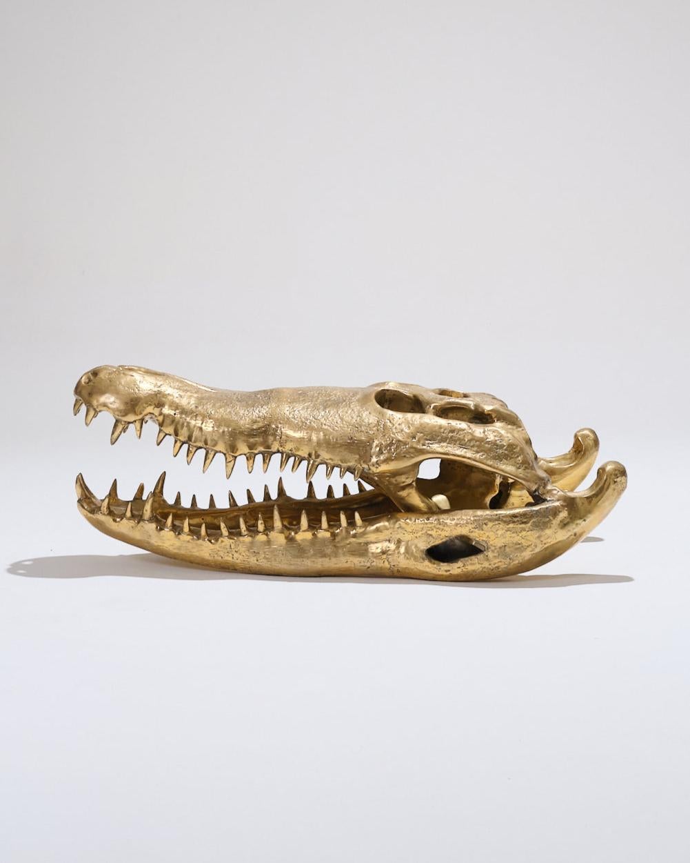 Grande scultura in ottone con teschio di coccodrillo, anni '80.
Proporzioni realistiche con superficie strutturata. Lievi segni di ossidazione. Buone condizioni.

DV4273

