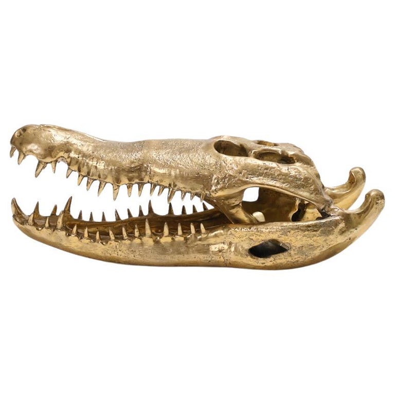 Grand crâne de crocodile en bronze recyclé doré sur socle