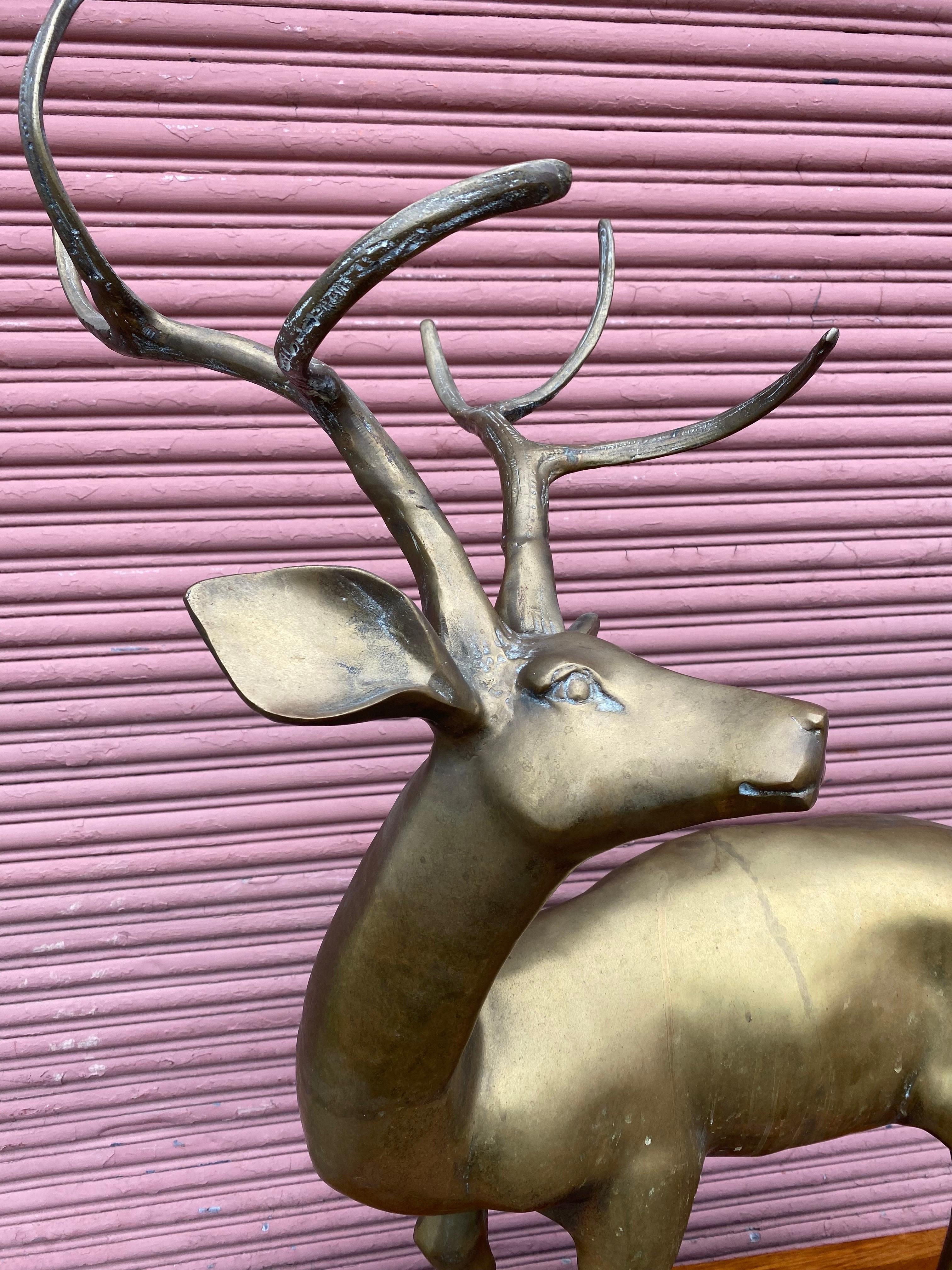 Large brass deer. Measuring 45