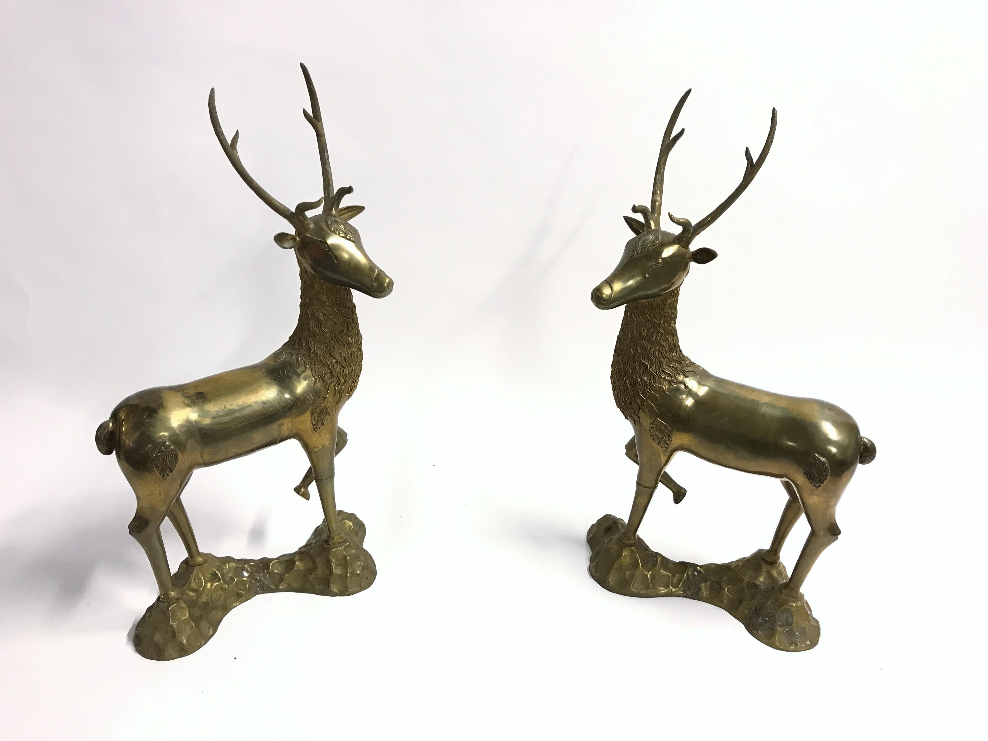pair of large brass deer sculpture with antlers.

Beautiful original condition, light patina.

Beautiful elegant decorative sculpture.

1970s - France

Dimensions:
Height 82cm/32.28