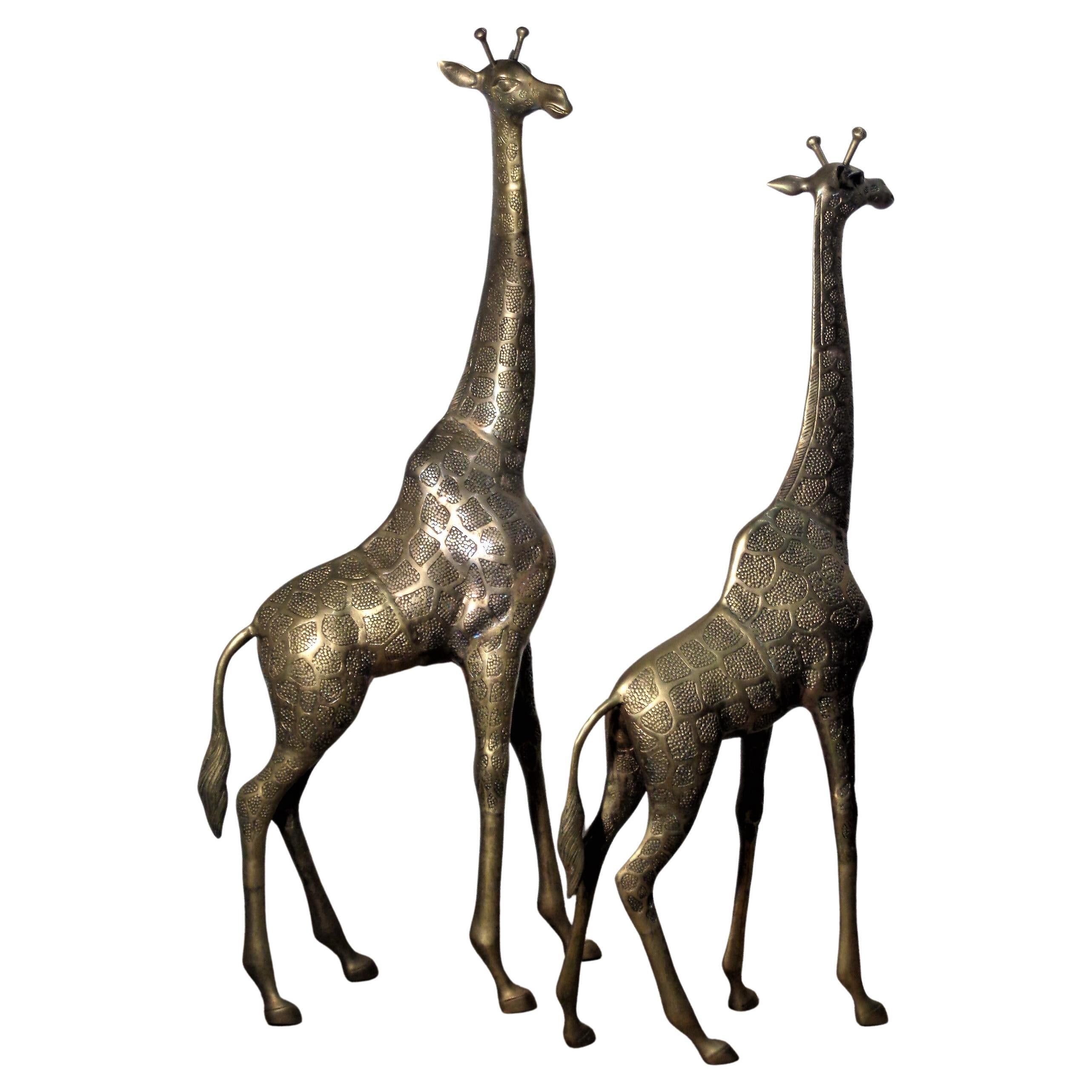 Large Brass Giraffes, Circa 1970 4