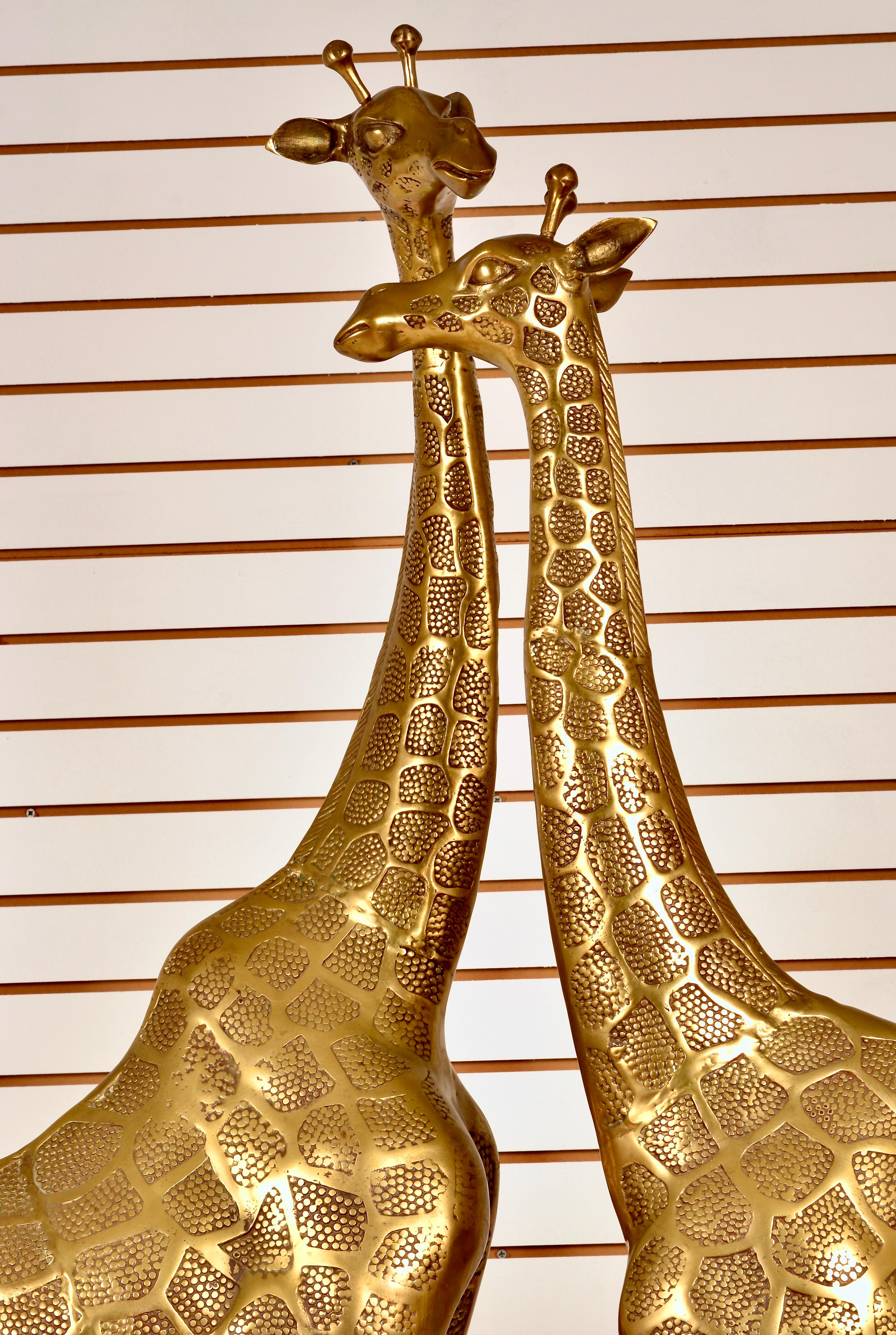 Quality brass giraffe sculptures. One larger, measuring 55