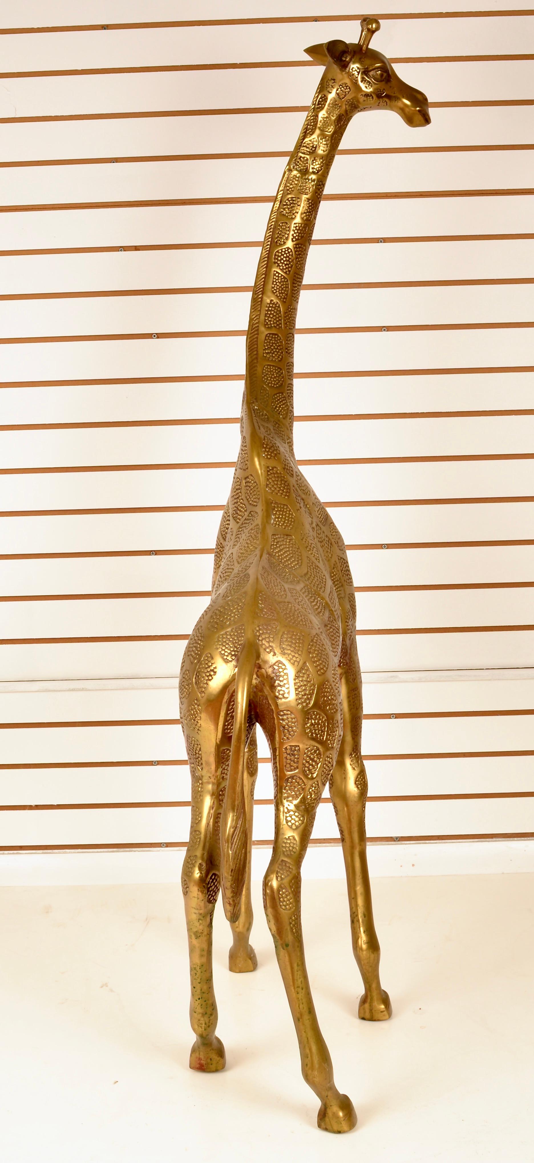 giraffes for sale