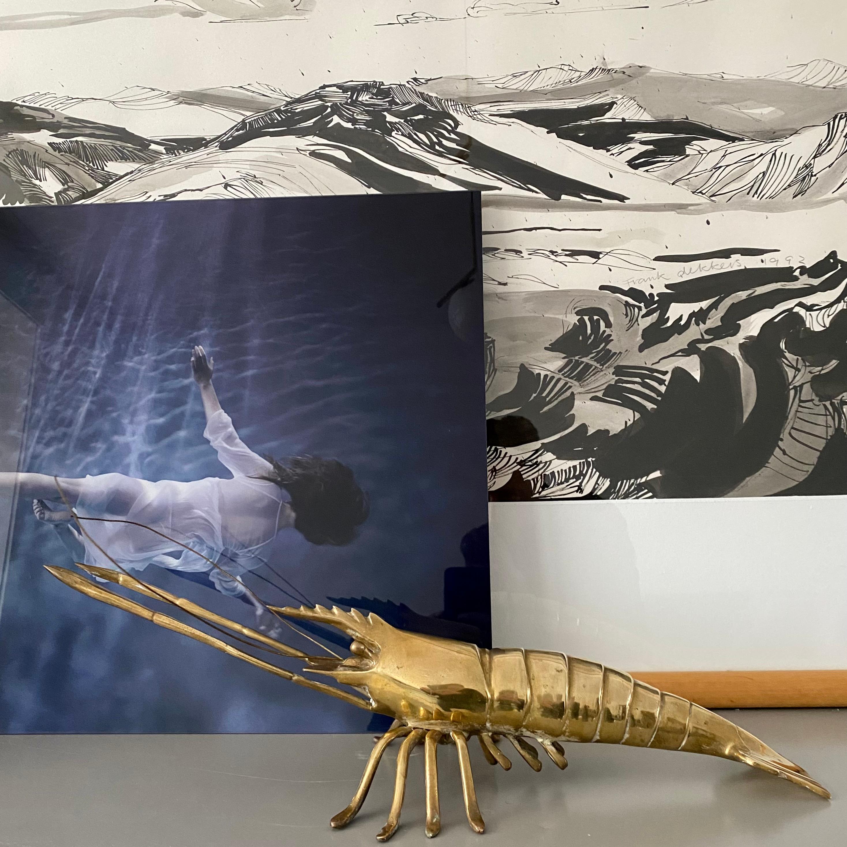 Looking to add a touch of glamour to your seafood restaurant or interior design project? Look no further than our stunning Large Brass Lobster Statue.

Measuring an impressive 50 cm in length, and 16 cm in both width and height, this statement