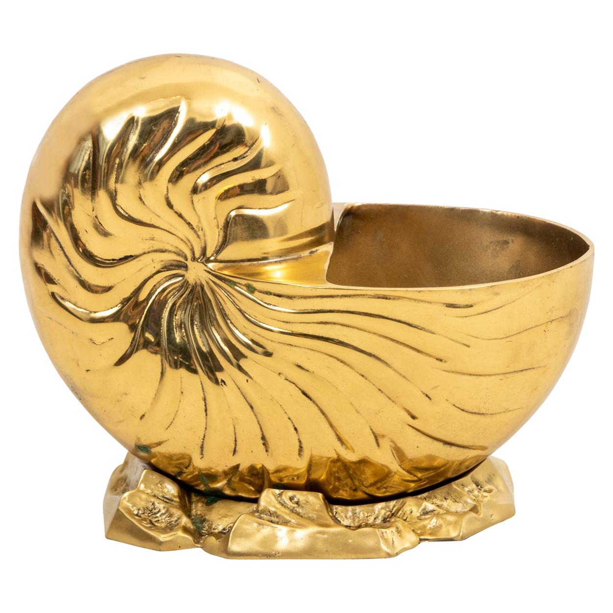 Large Brass Nautilus