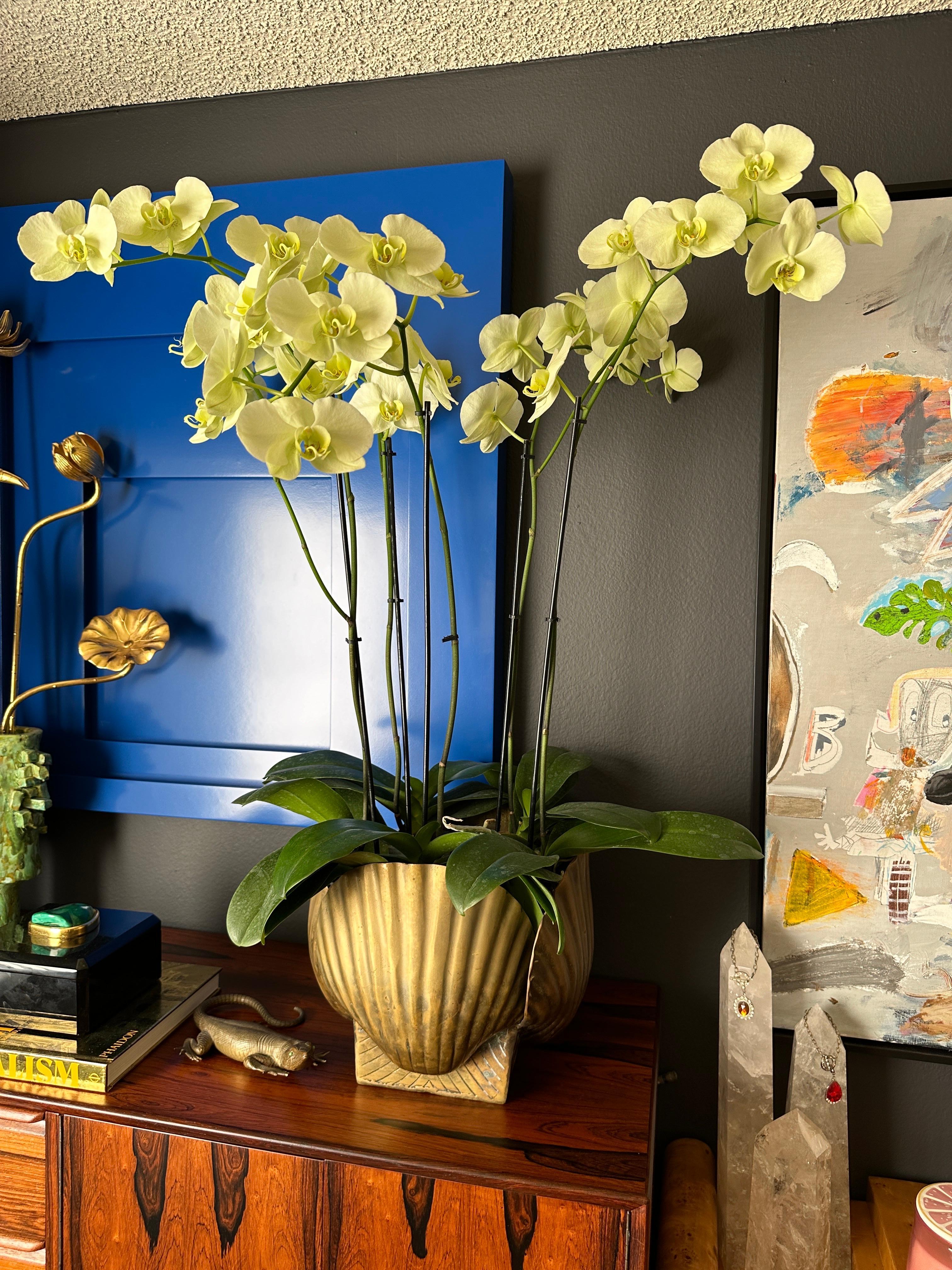 Very large patinated brass sea shell planter in the style of Tony Duquette.