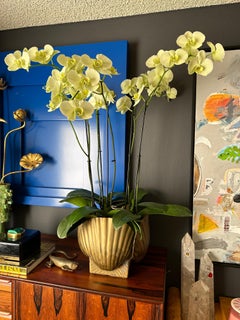 Macetero grande de latón con conchas de mar