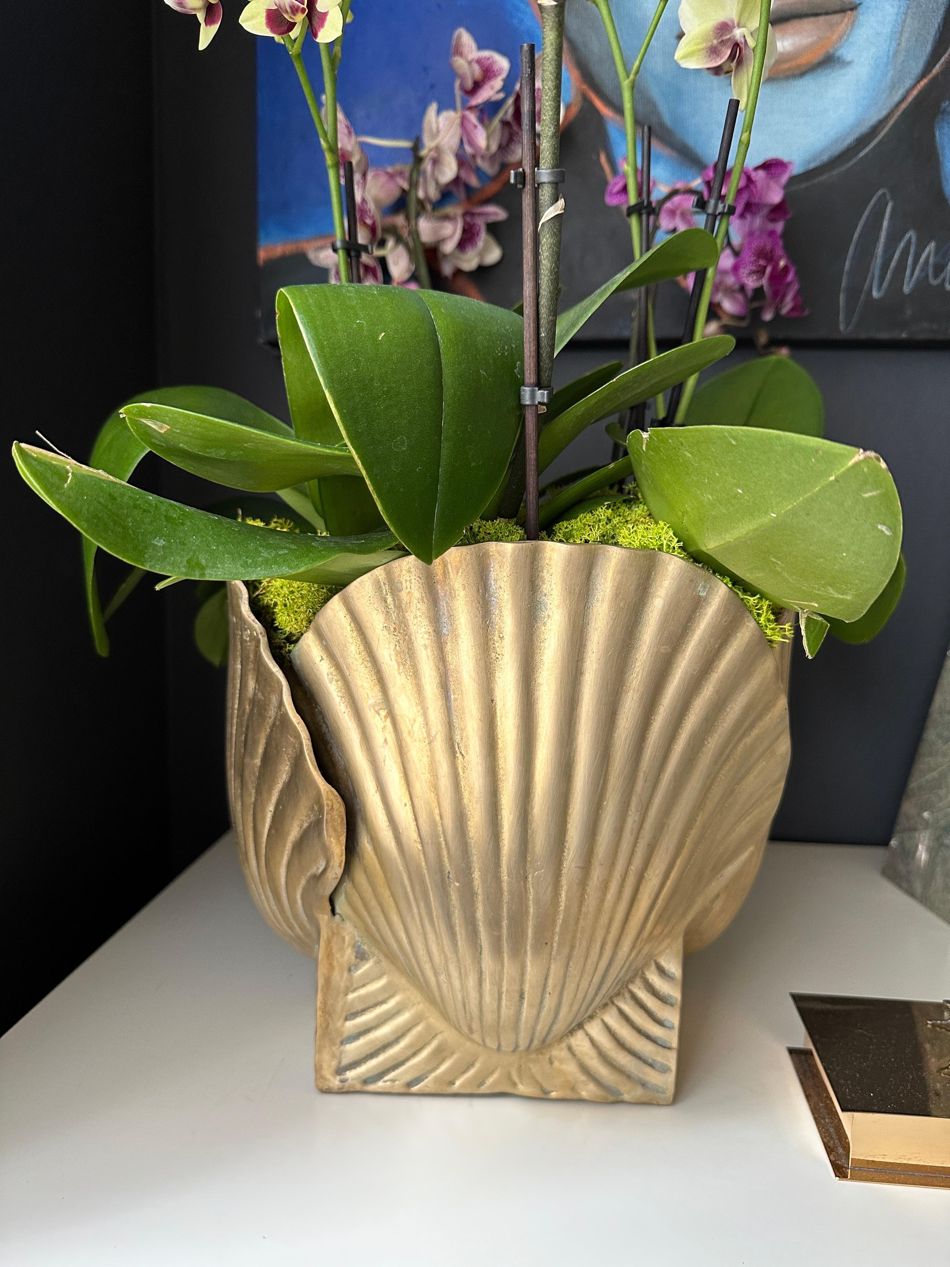 Late 20th Century Large Brass Shell Planter For Sale