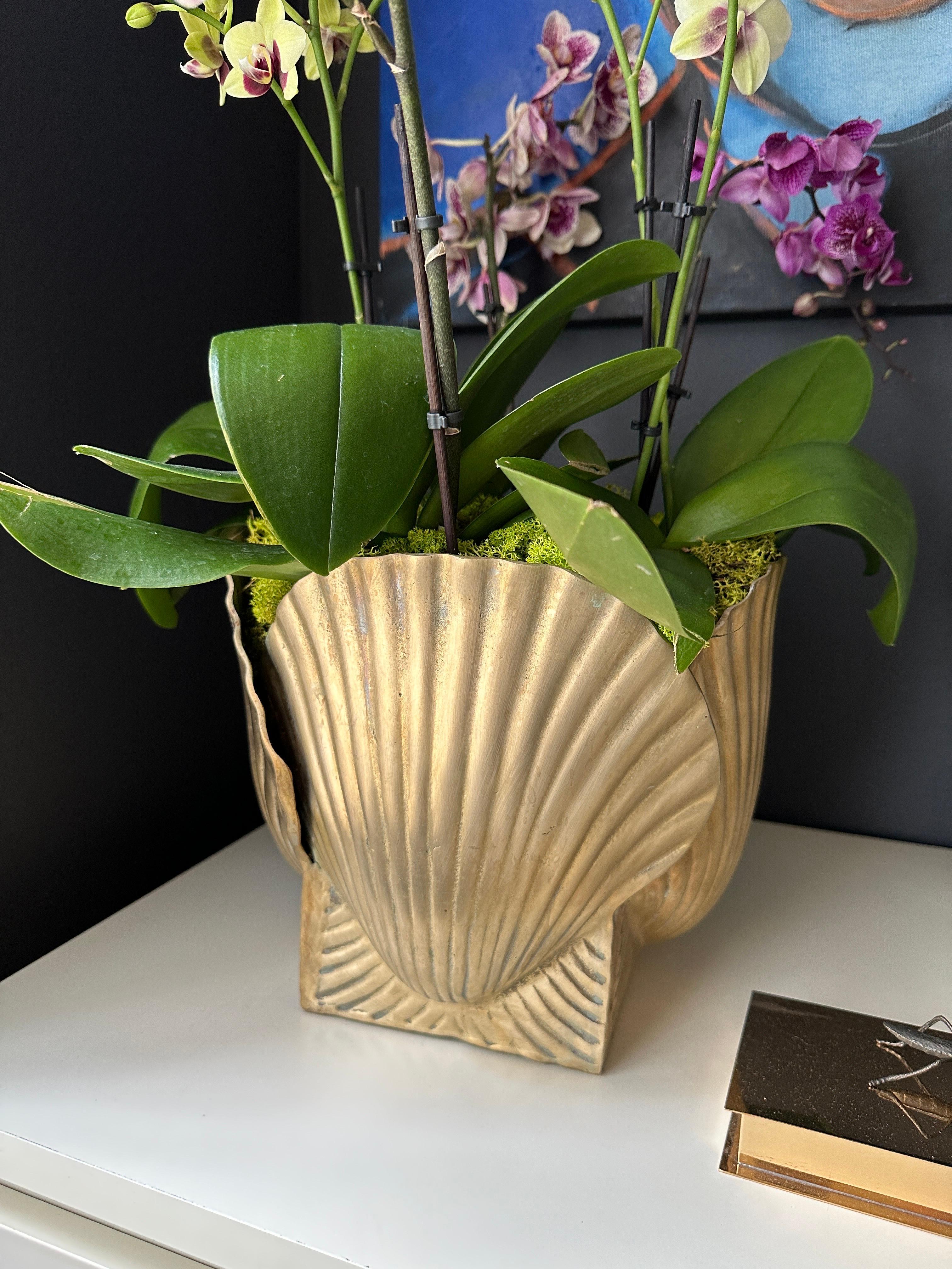 Large Brass Shell Planter For Sale 1