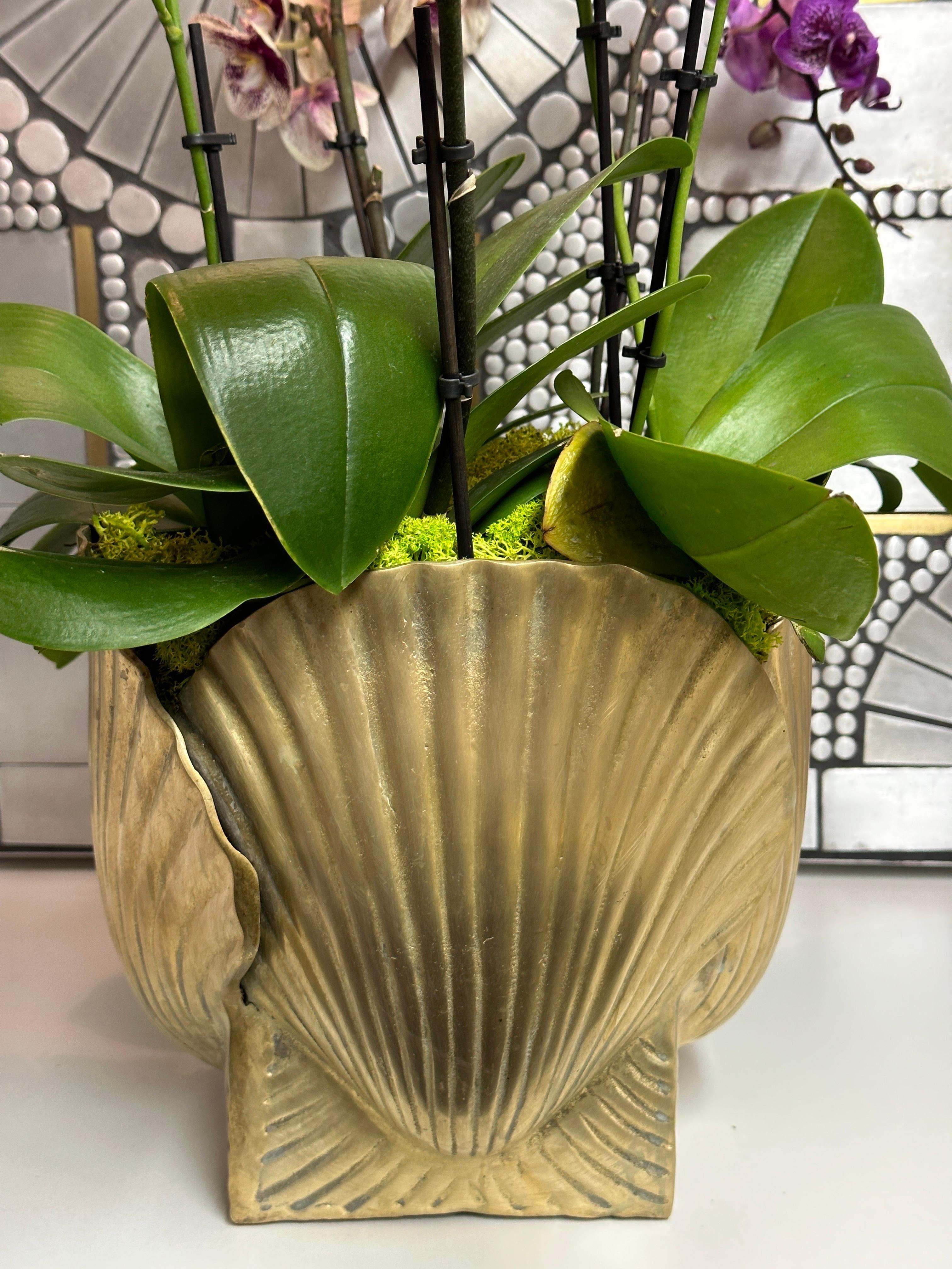 Large Brass Shell Planter For Sale 3