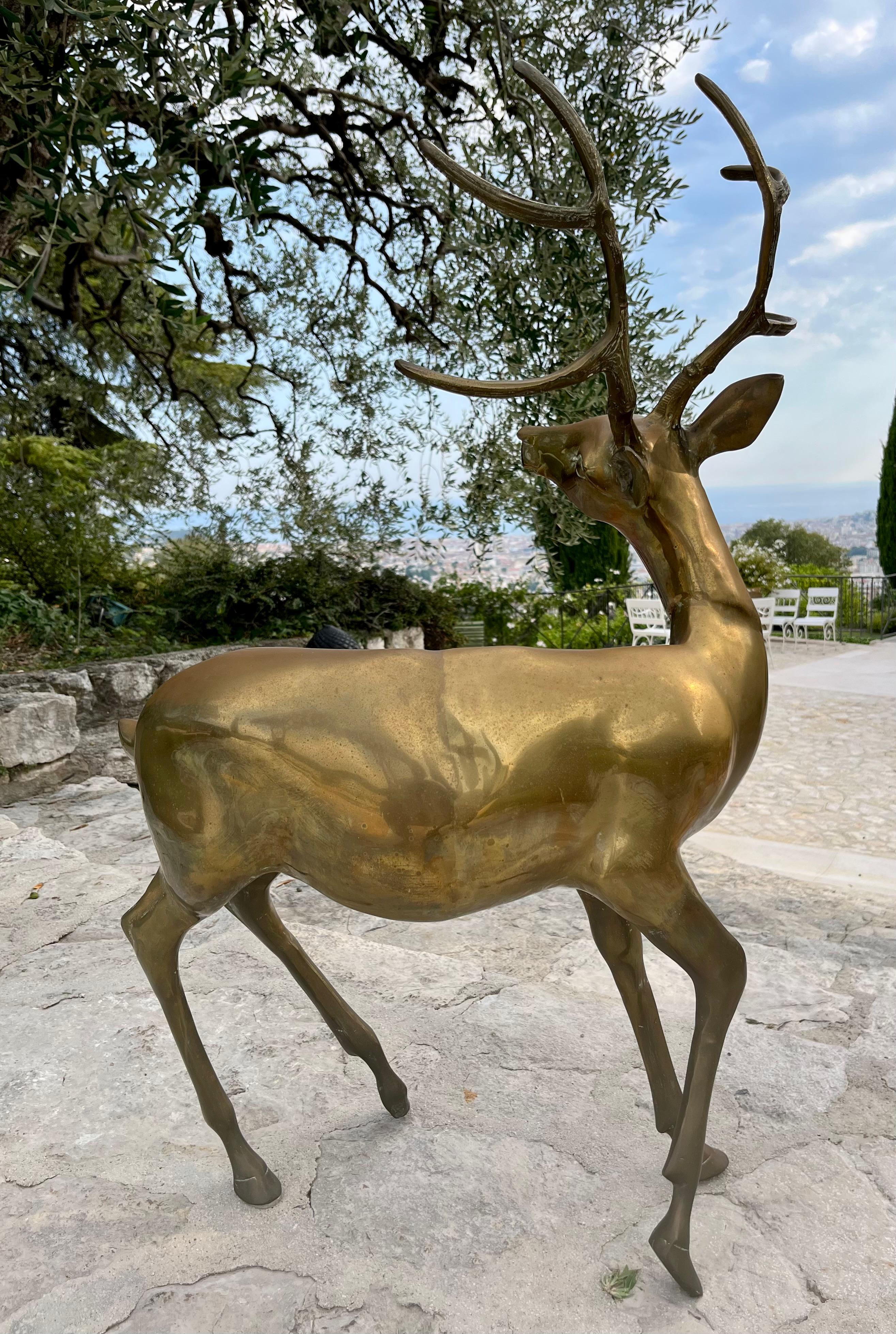 Polished large brass stag. France circa 1970 For Sale